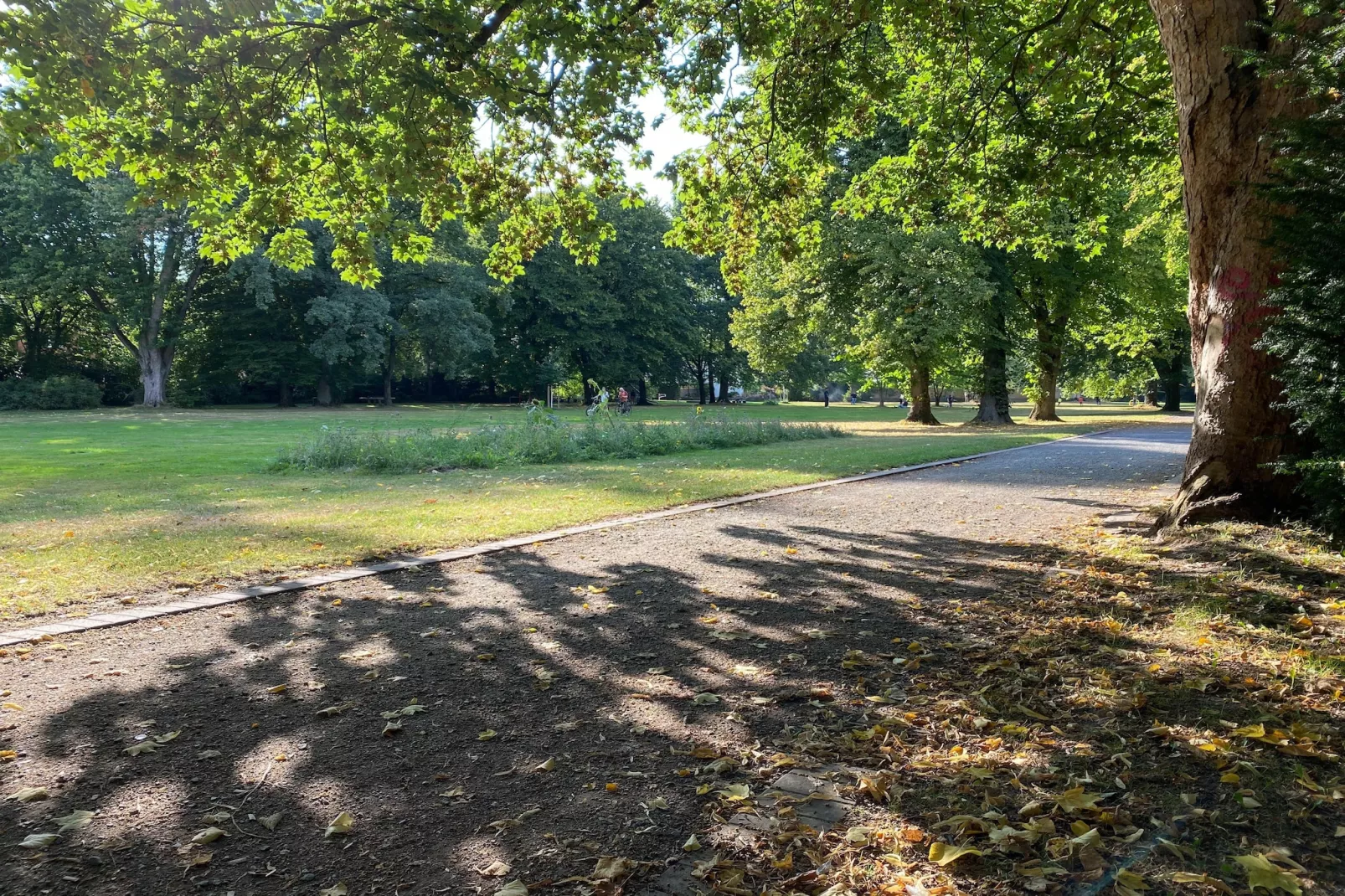 Mercure Hotel - Superior King Room - Gebiete Sommer 5 km