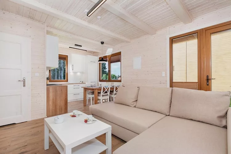 Domy wakacyjne z basenem blisko morza Rewal - Living room