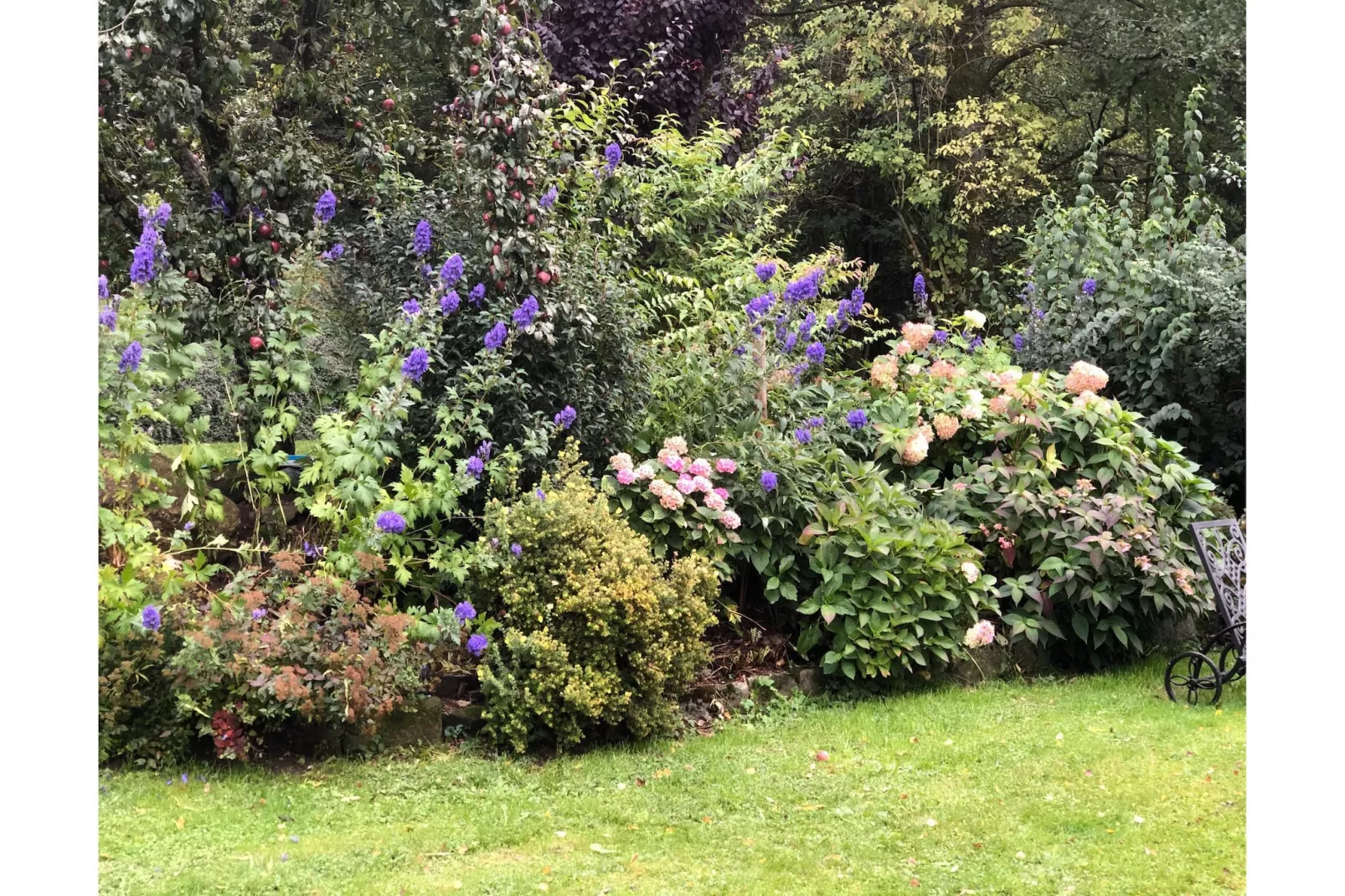 Weidhaus - Gardens in summer