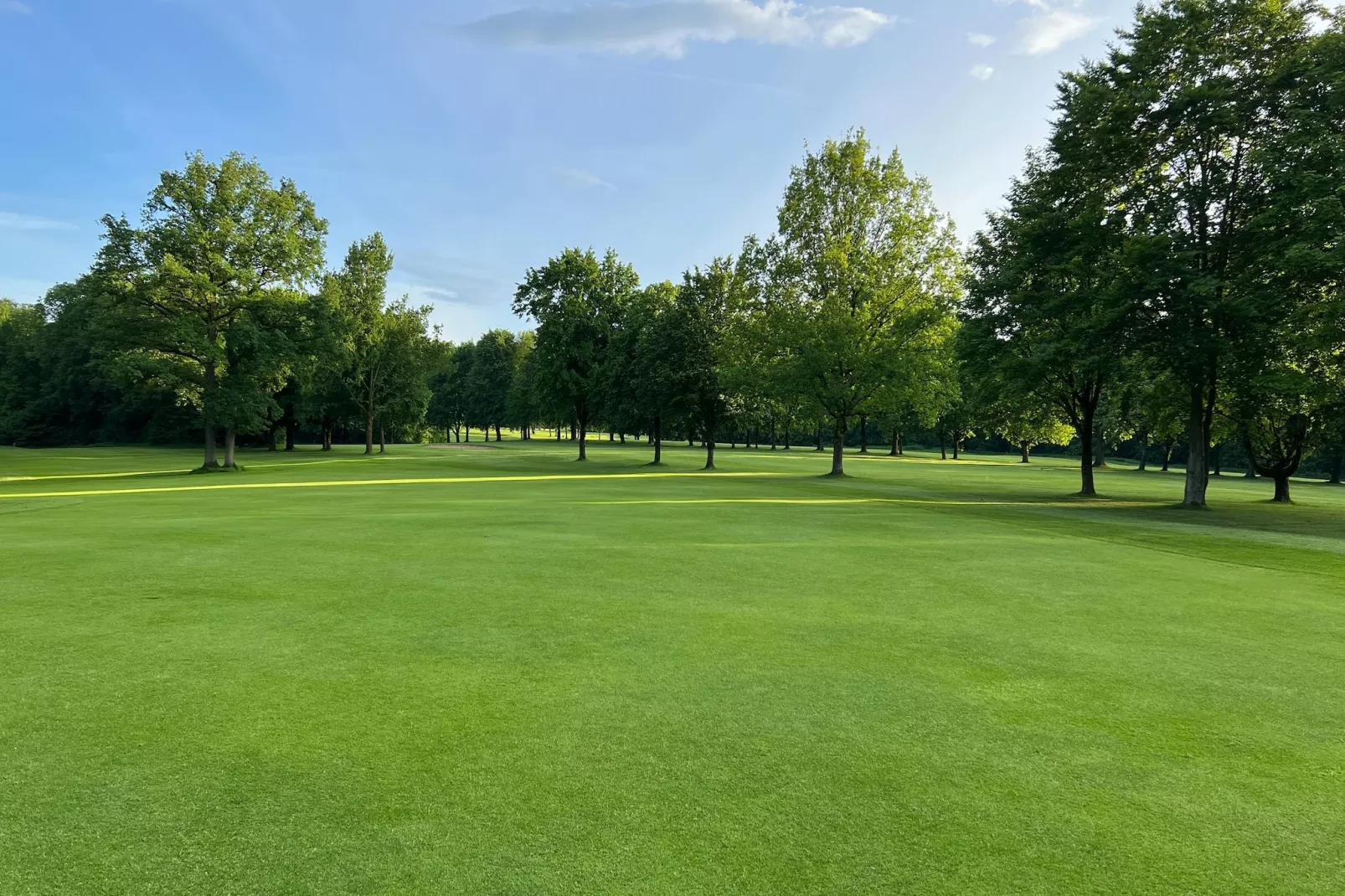 Mercure Hotel - Standard King Room - Areas within 5km in summer