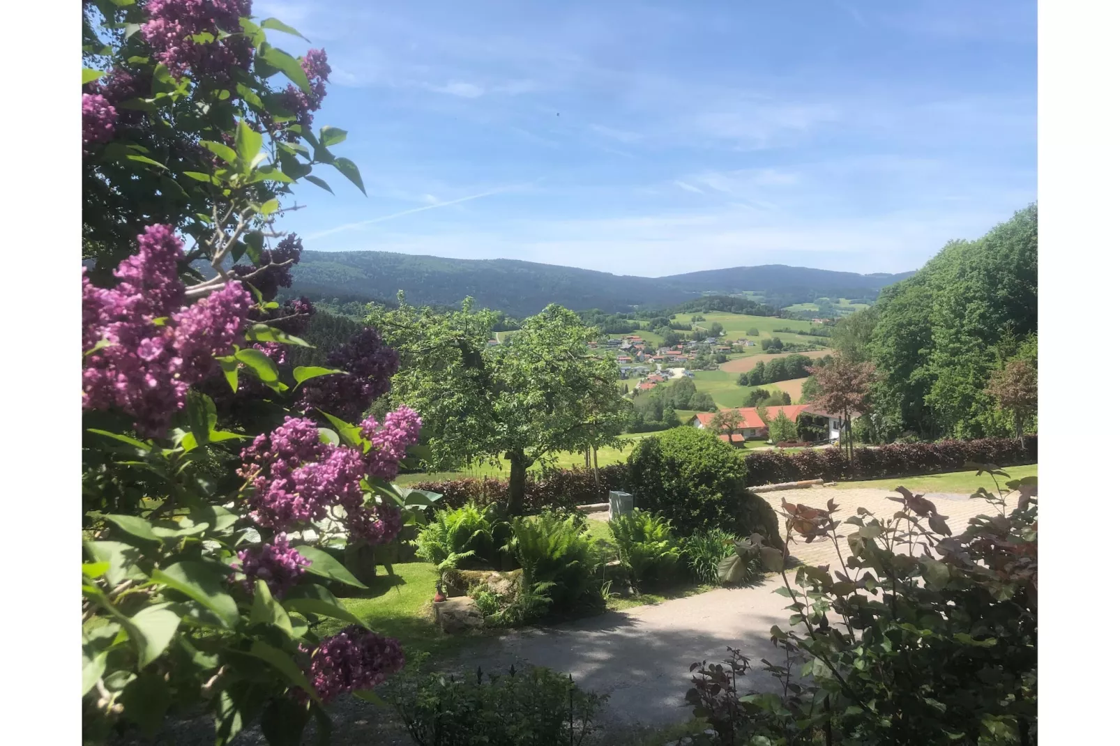 Weidhaus - View in summer