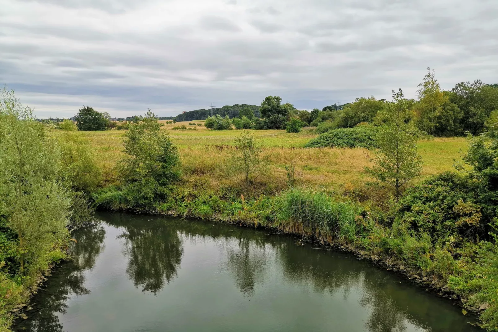 Mercure Hotel - Standard King Room - Areas within 5km in summer