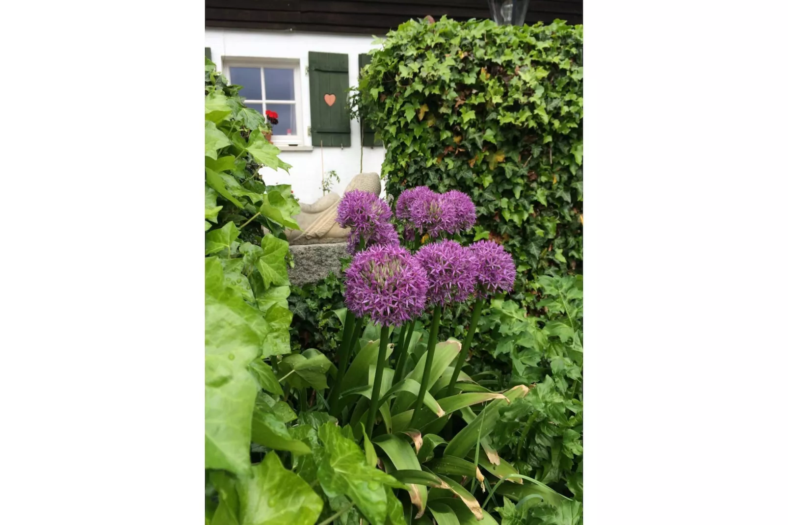 Weidhaus - Gardens in summer