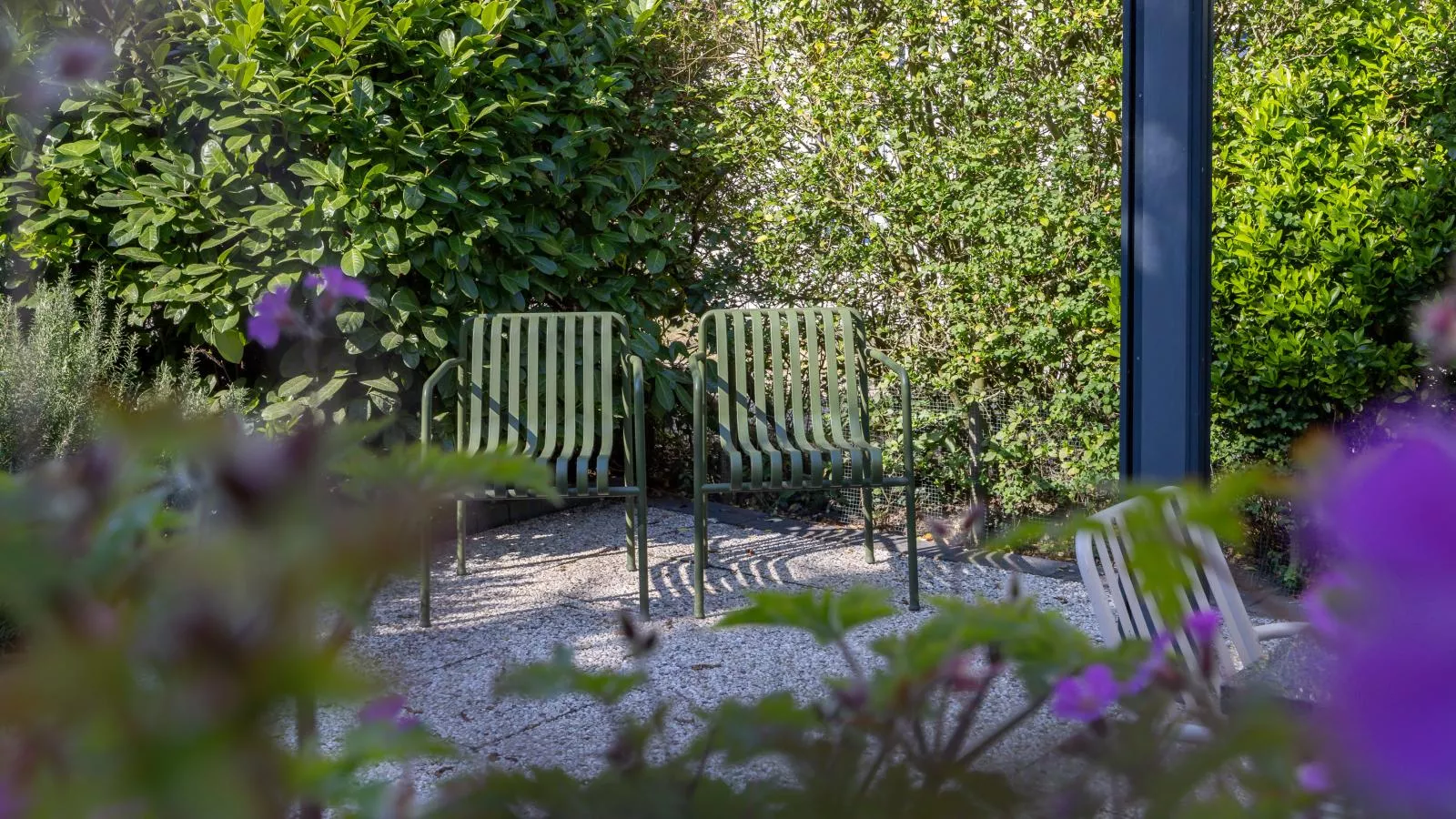 Meerhuis Cardium - Gardens in summer