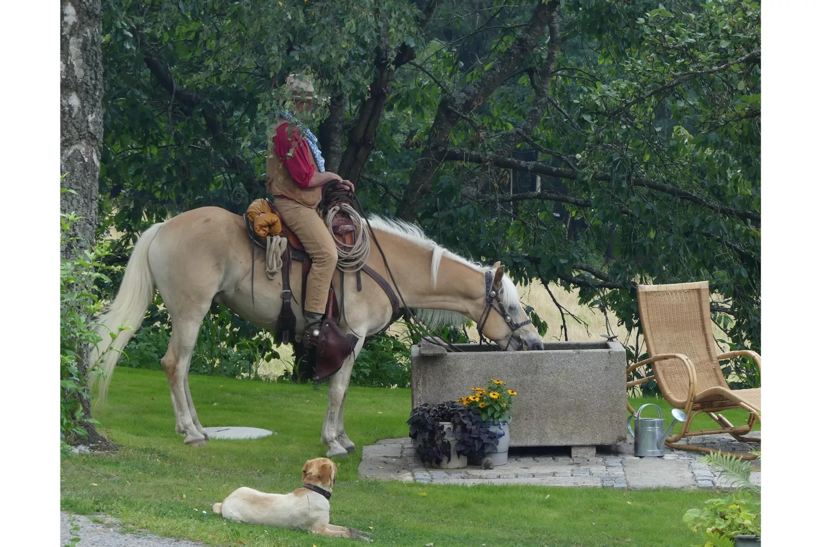 Weidhaus - Gardens in summer