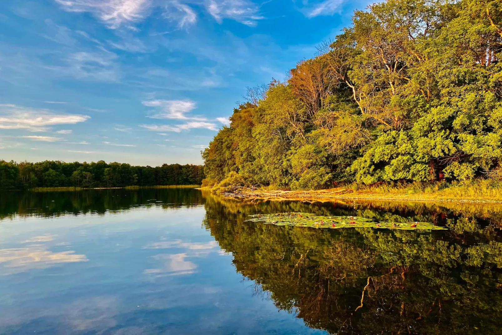 Wheelchair accessible Double Room - Zones été à 5 km