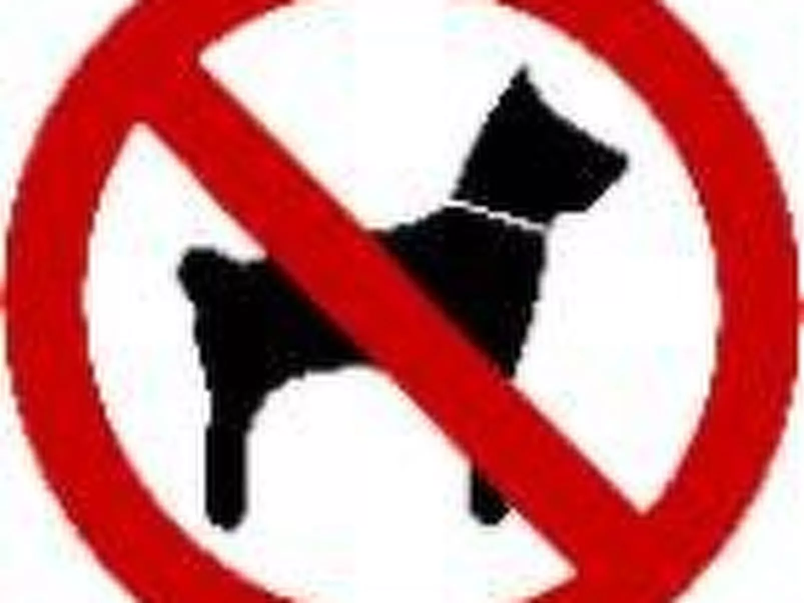 In Rauris mit Terrasse, Grill und Garten - Drinnen