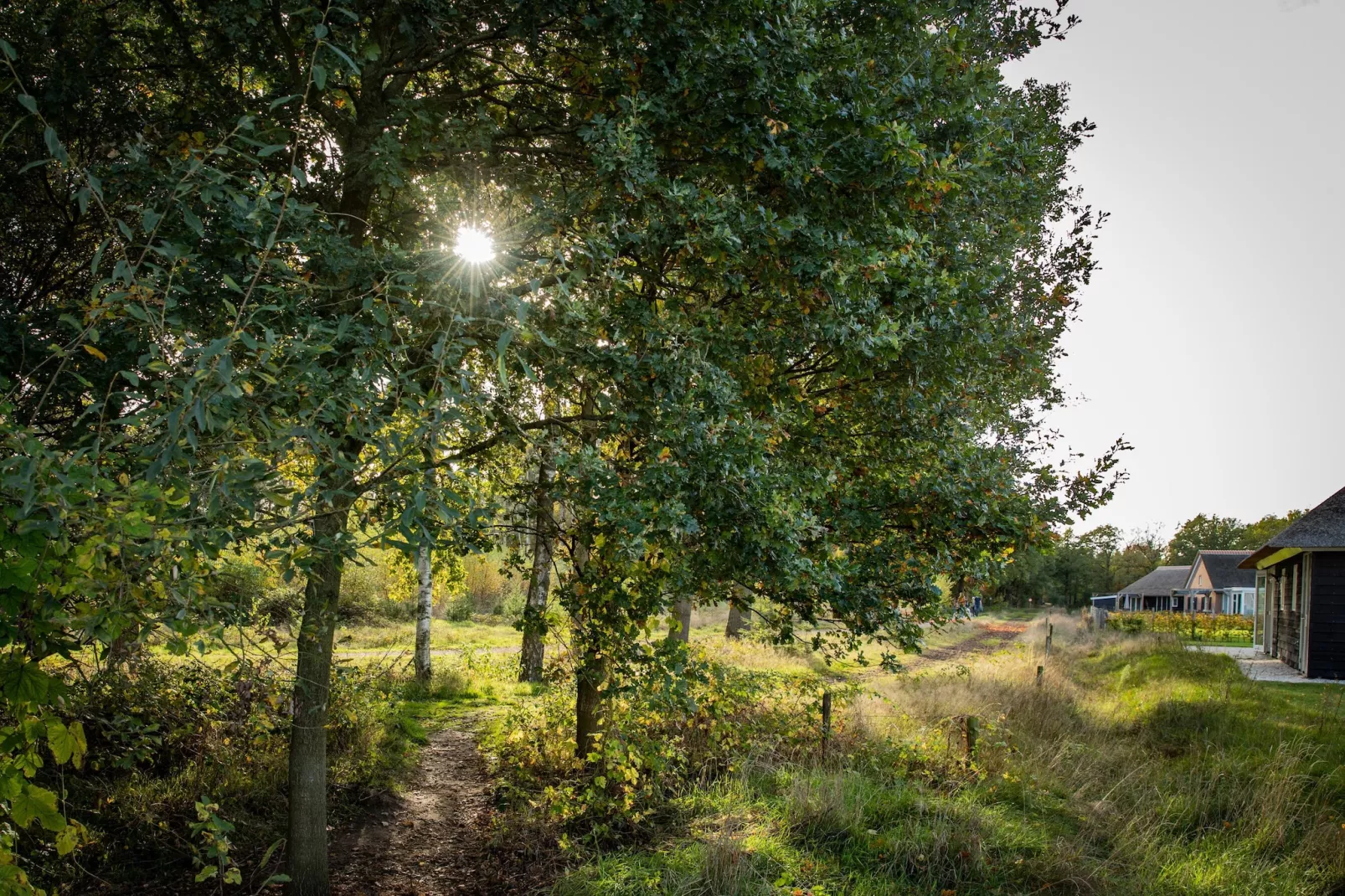 Vakantiepark De Heihorsten 5 - Zones été à 1 km