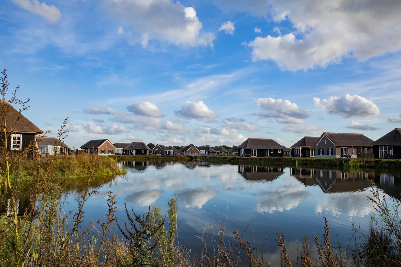 Vakantiepark De Heihorsten 5 - Zones été à 1 km
