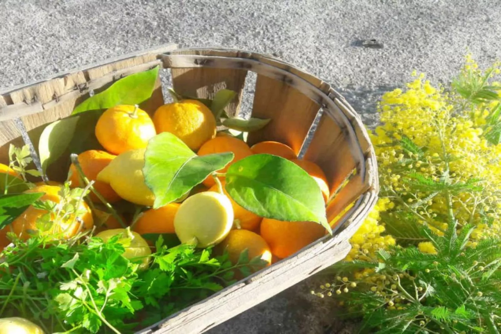 La Pascaline - Ambiance