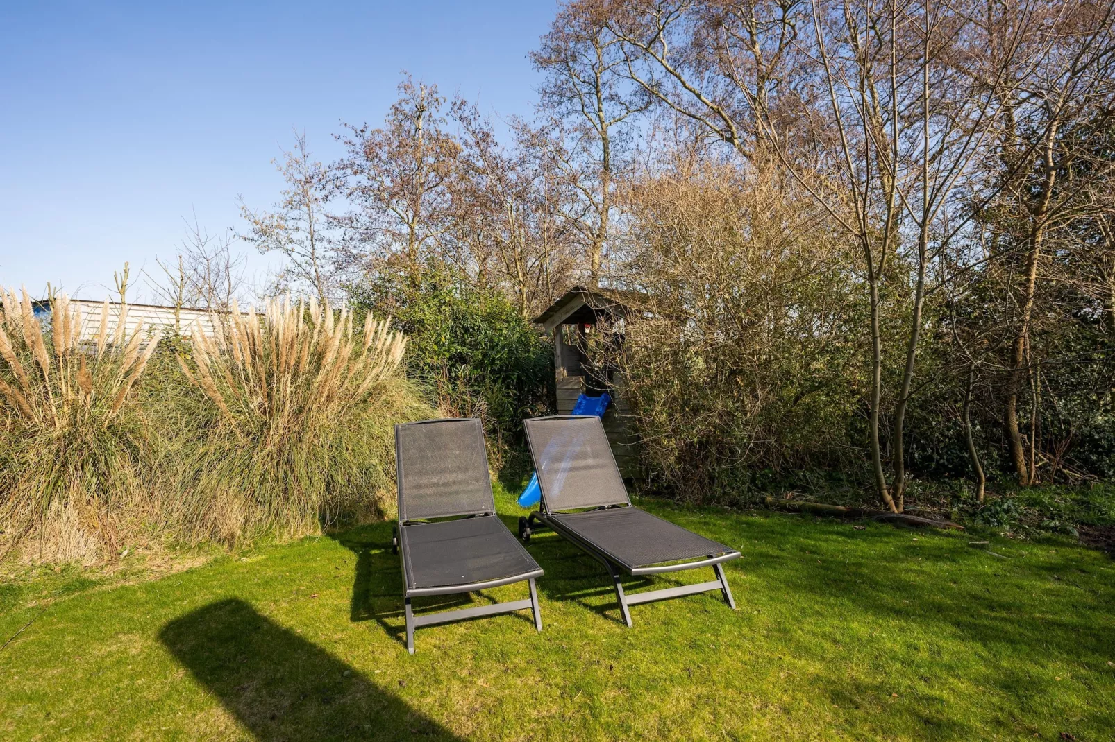 Mienterbos-Duinglop - Jardin en hiver