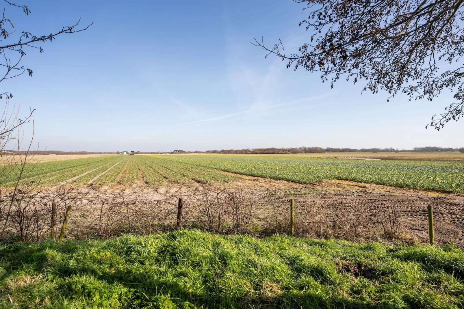 Mienterbos-Heideglop - Areas within 1km in summer