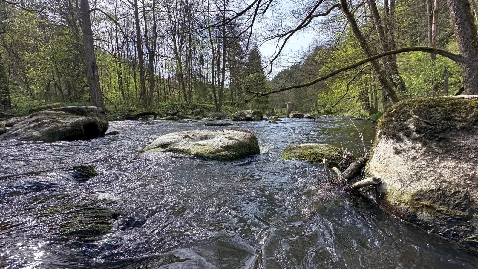 Feriendorf Seeblick - Tiny Chalet Nr 8 - Gebiete Sommer 5 km