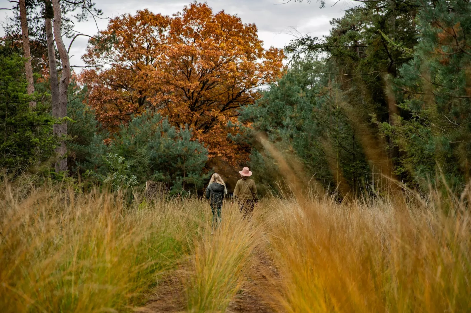 Vakantiepark De Heihorsten 5 - Zones été à 5 km