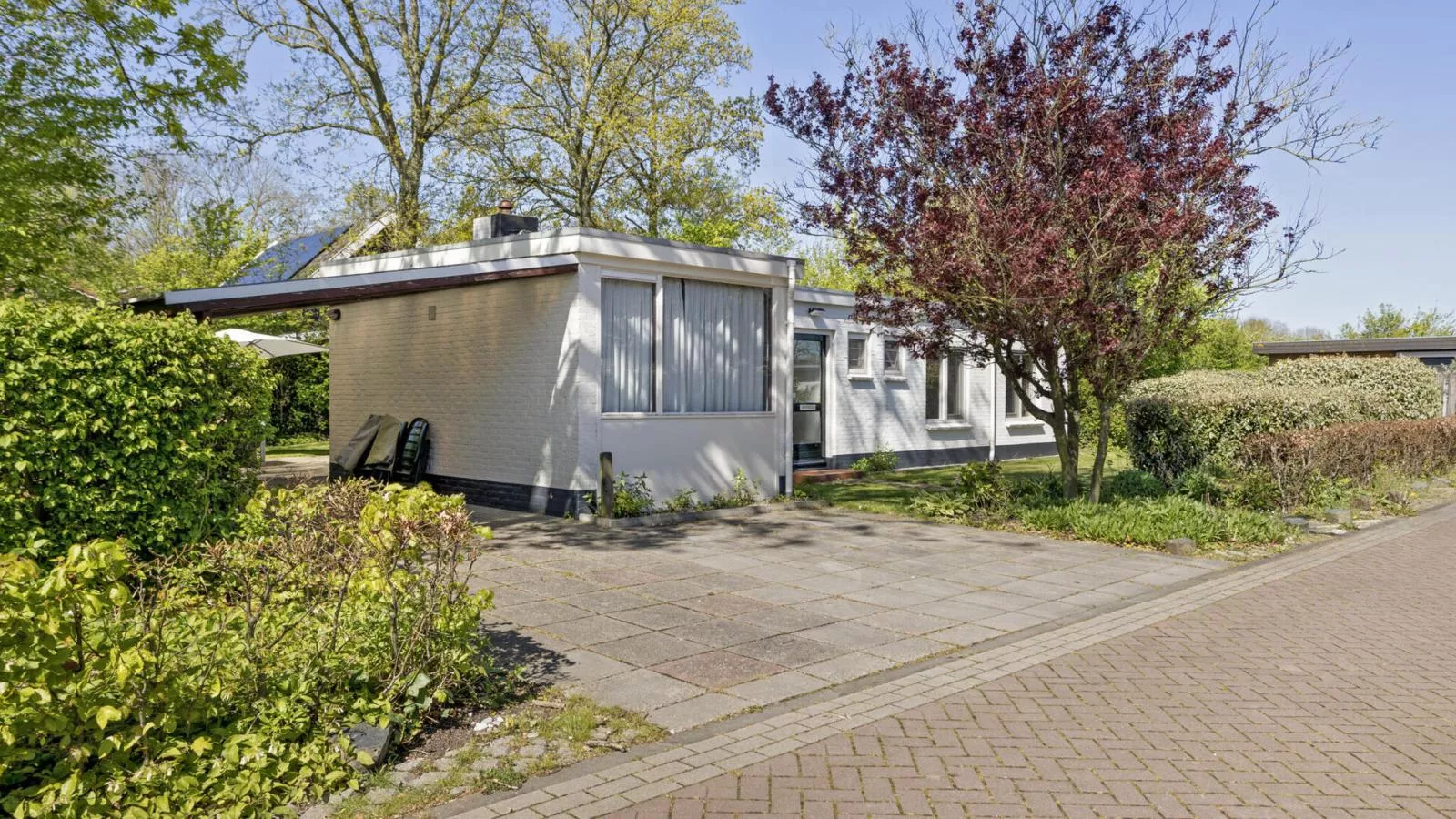 Duinlodge Groot Valkenisse - Exterior in summer