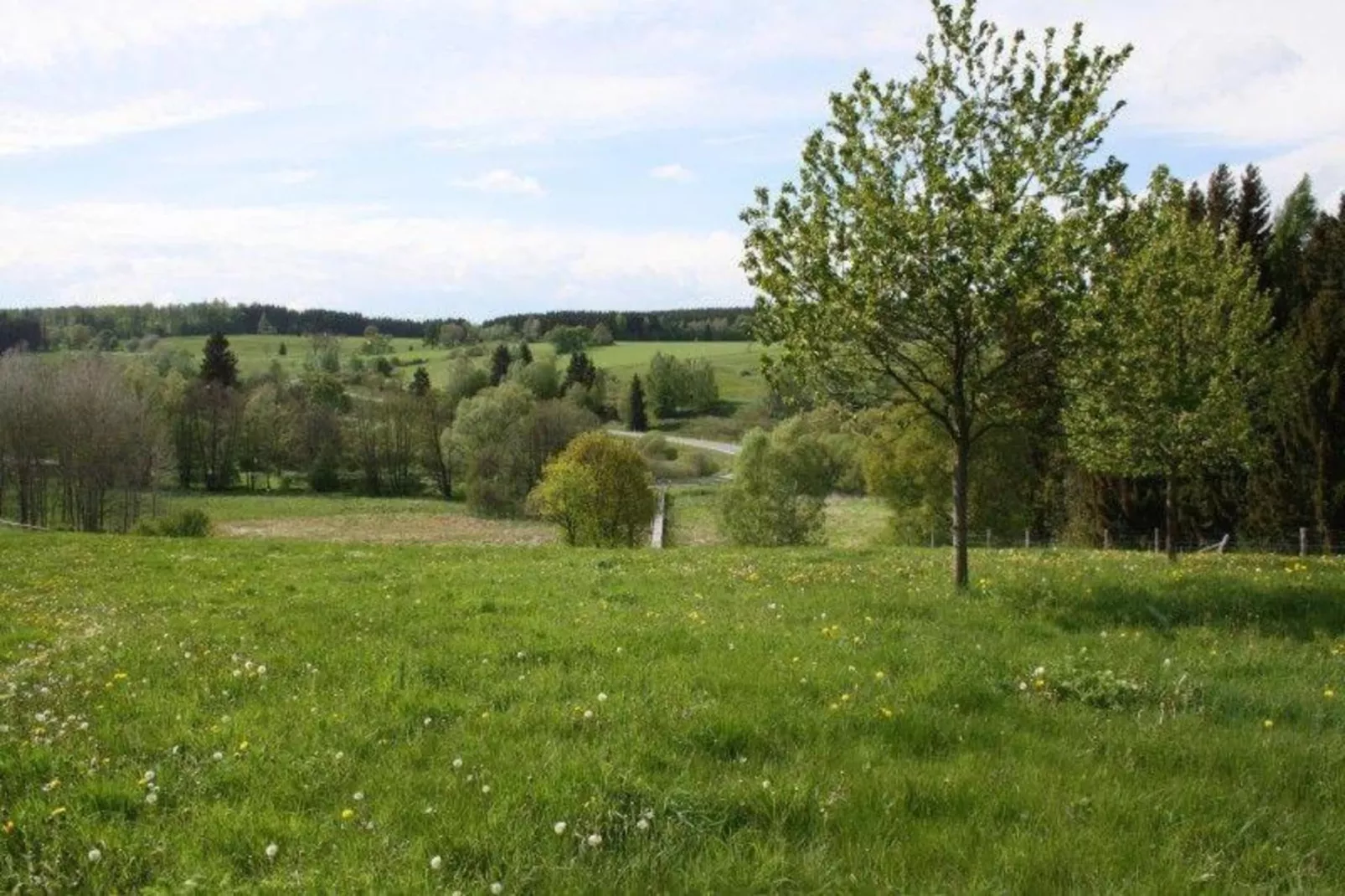 Thale - Gebiete Sommer 20 km