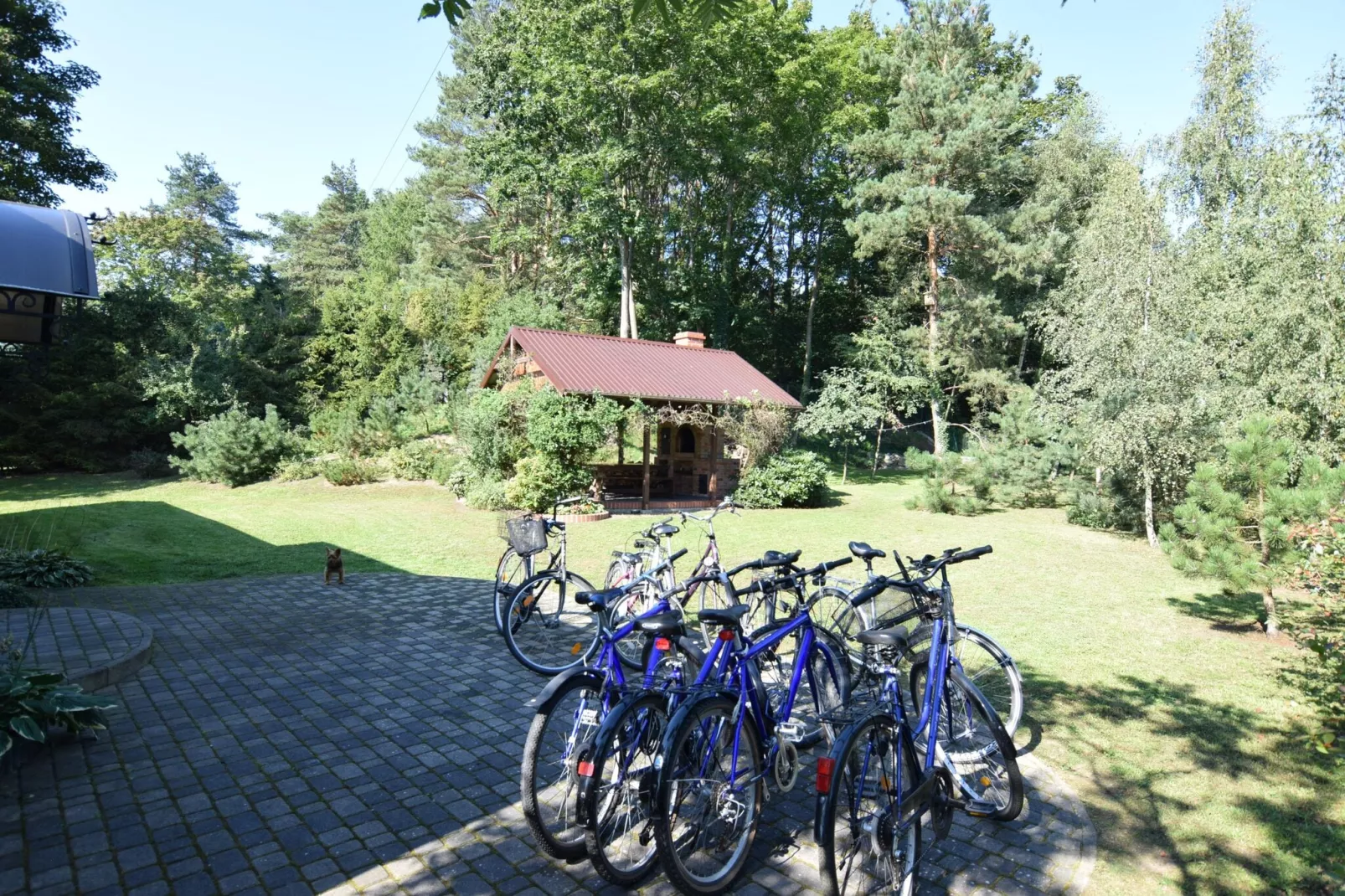 Holiday flat in Choczewo-Gardens summer