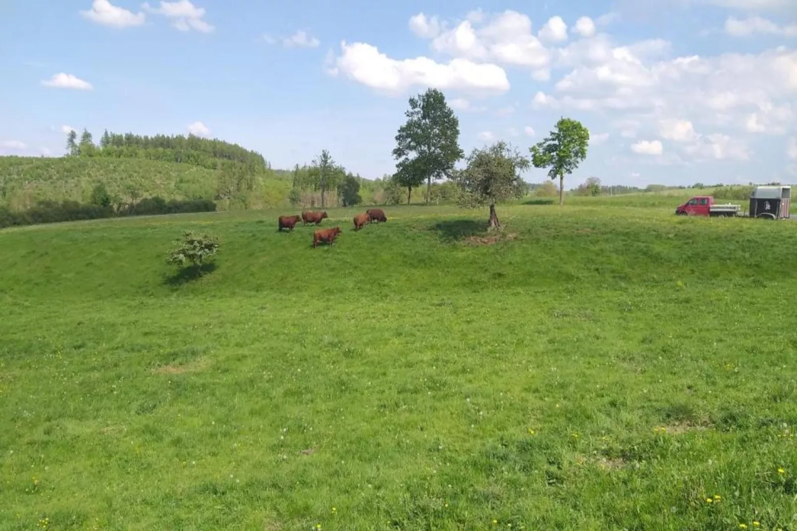 Thale - Gebiete Sommer 20 km
