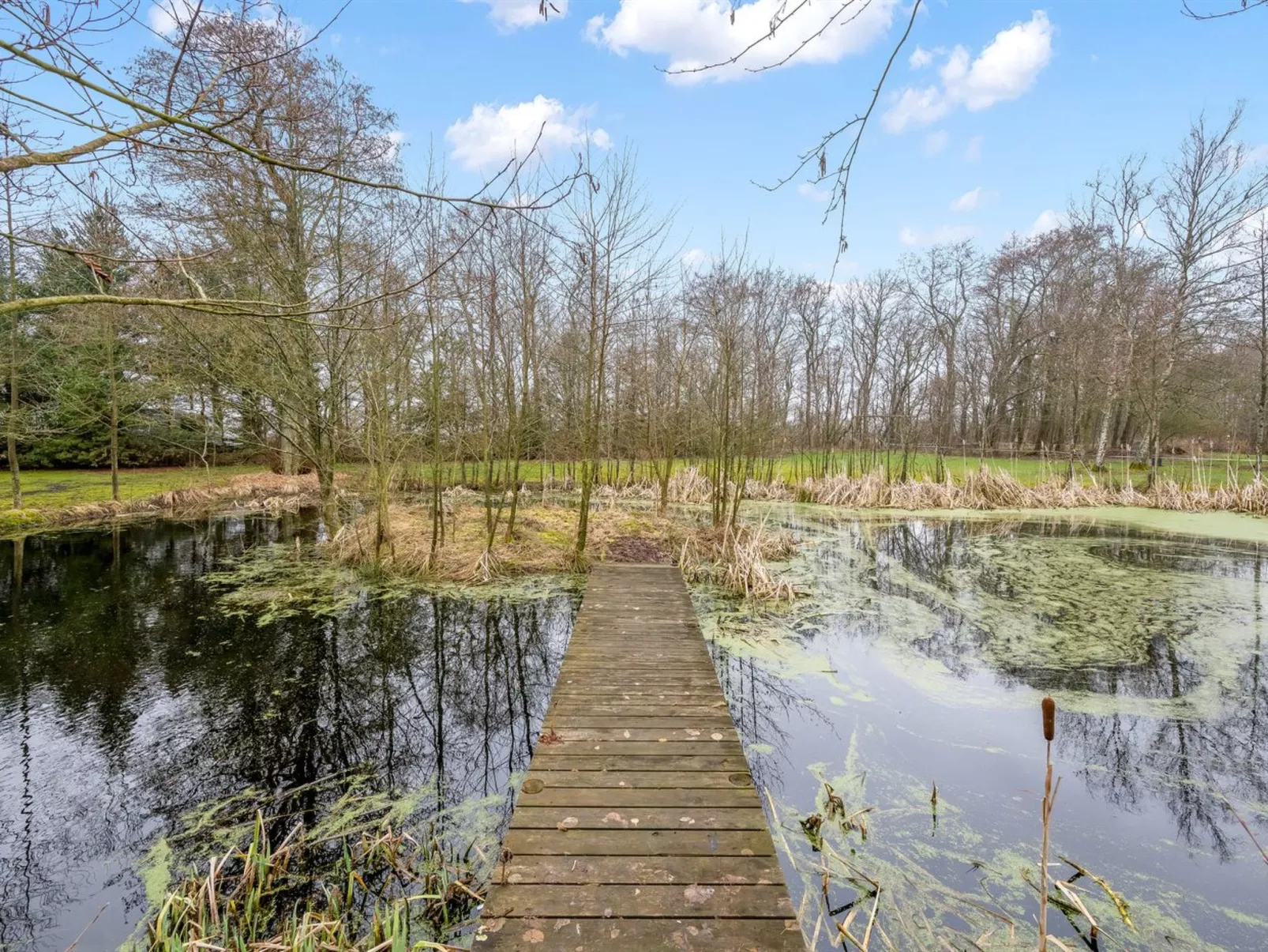 "Blaguna" - 9km to the fjord - Outside