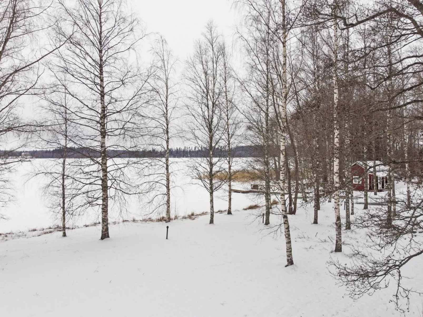 Aurinko vanaja - Inside