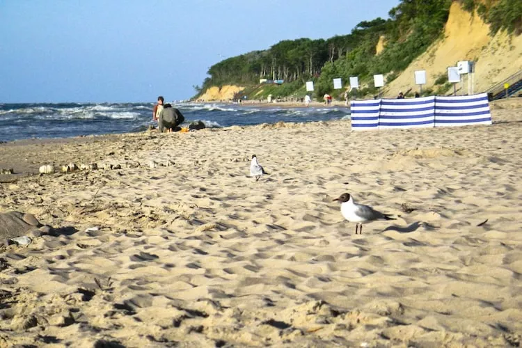 Domy wakacyjne z basenem blisko morza Rewal - Areas within 1km in summer