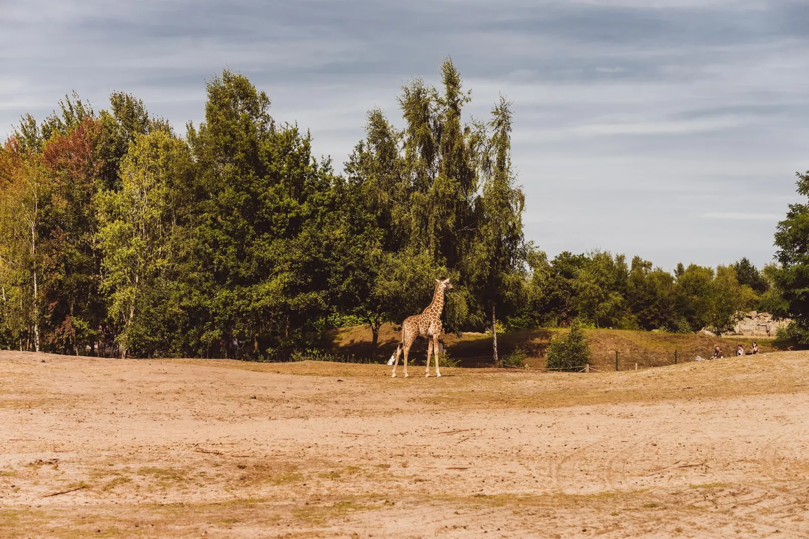 Vakantiepark De Heihorsten 5 - Zones été à 20 km