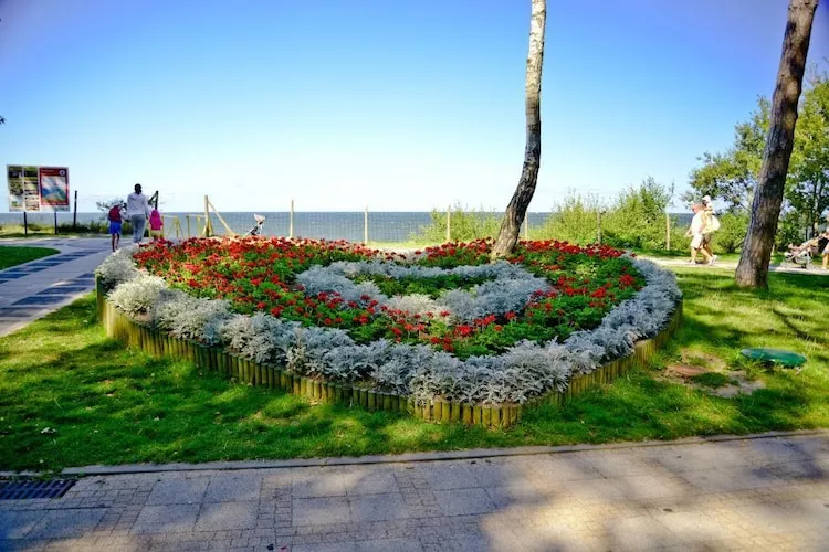 Domy wakacyjne z basenem blisko morza Rewal - Areas within 1km in summer