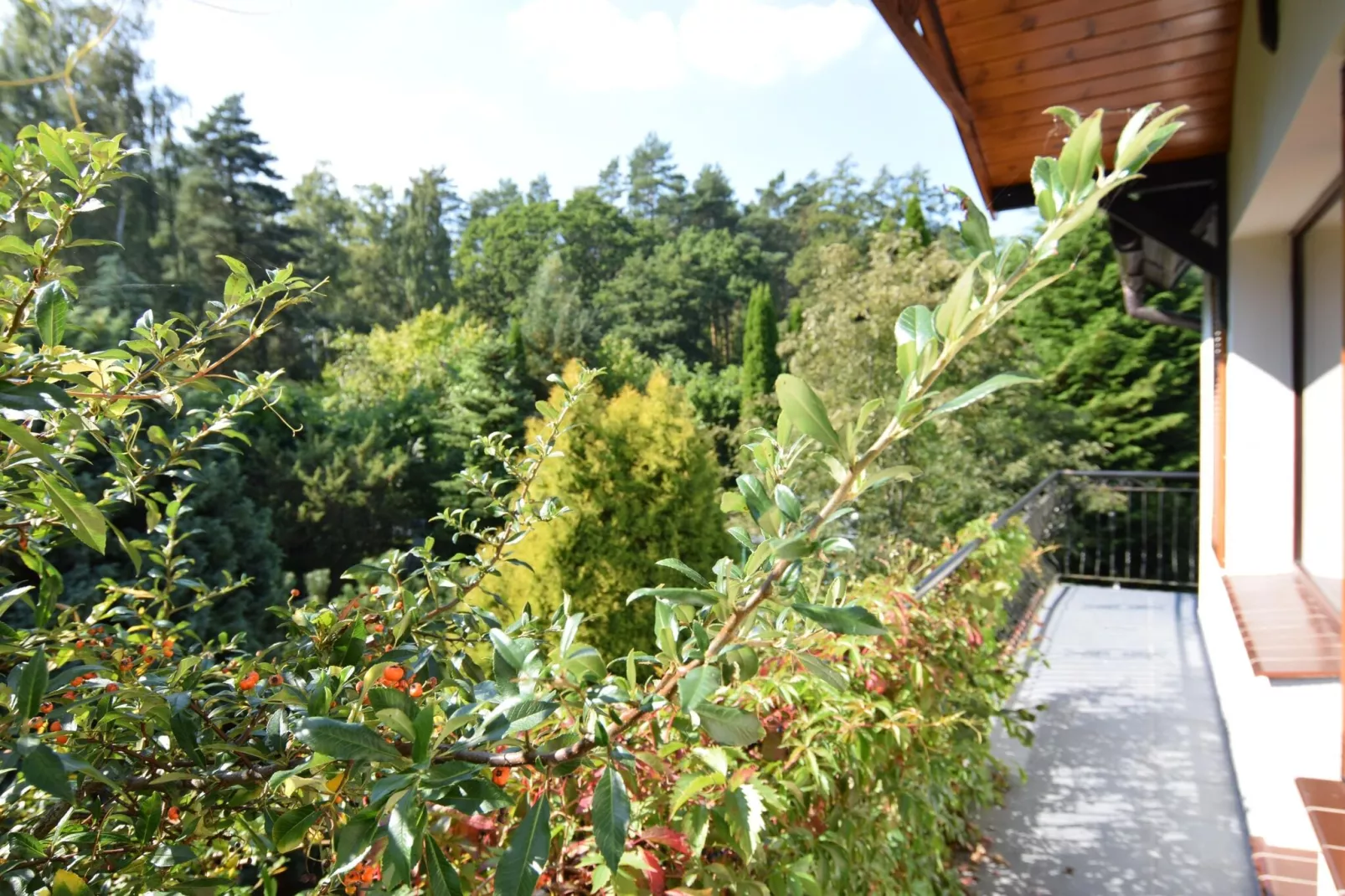 Holiday home in Kopalino-Terrace balcony