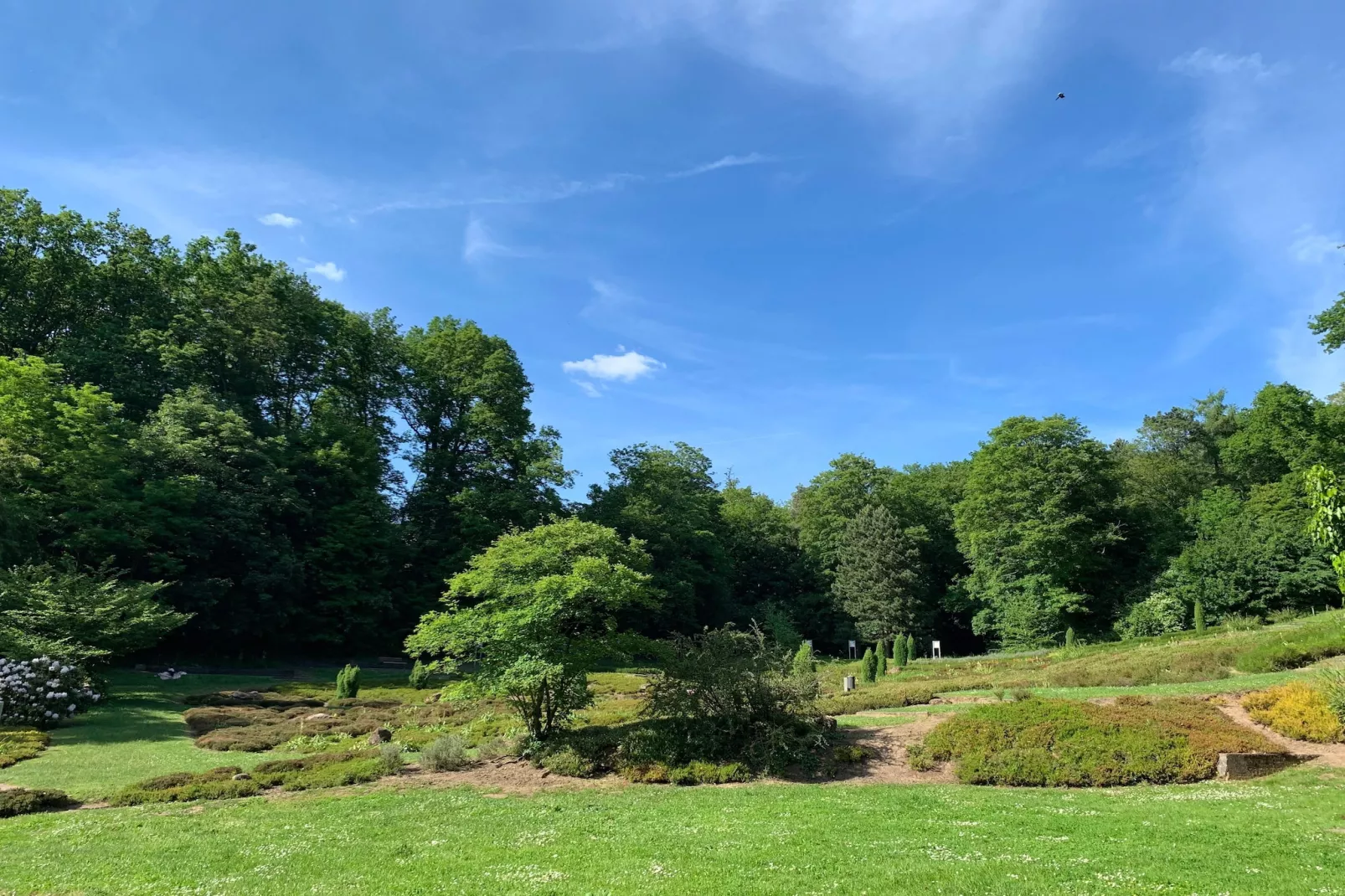 SUPERIOR DOUBLE ROOM - Gebiete Sommer 5 km