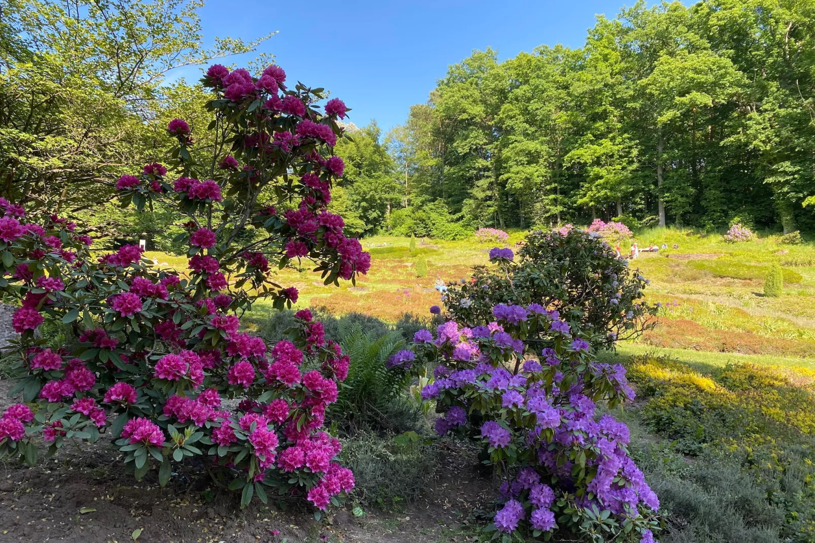 DELUXE DOUBLE ROOM - Gebiete Sommer 5 km