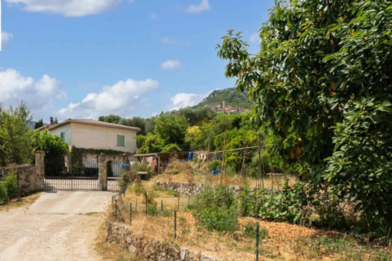 La Pascaline - Exterior in summer