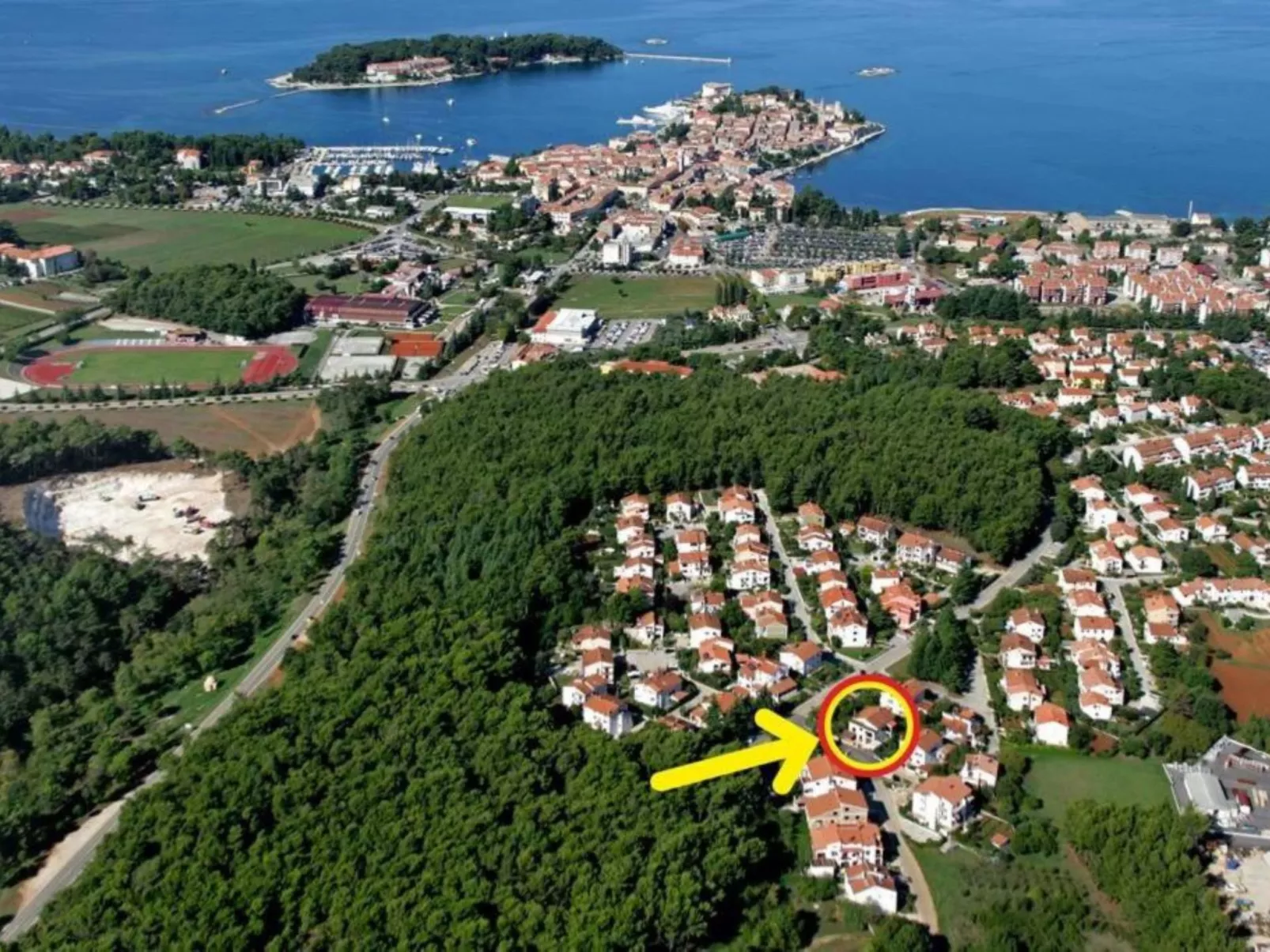 Vera Savic - Outside