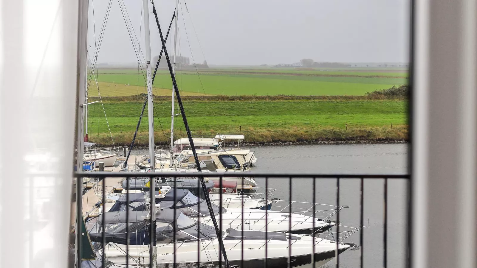 Zilte Haven - View in summer