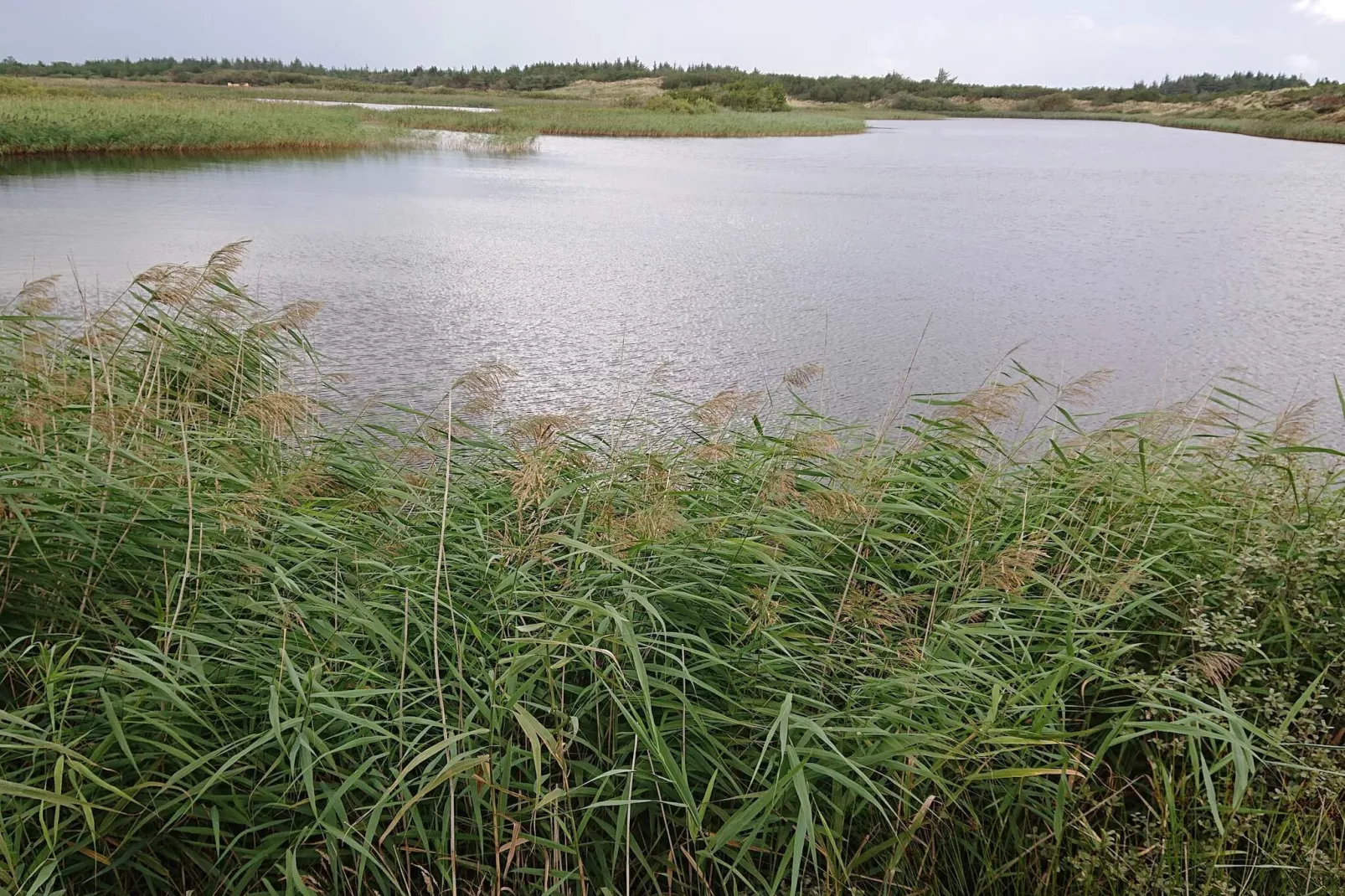 Abgeschiedenes Refugium mit Aussicht