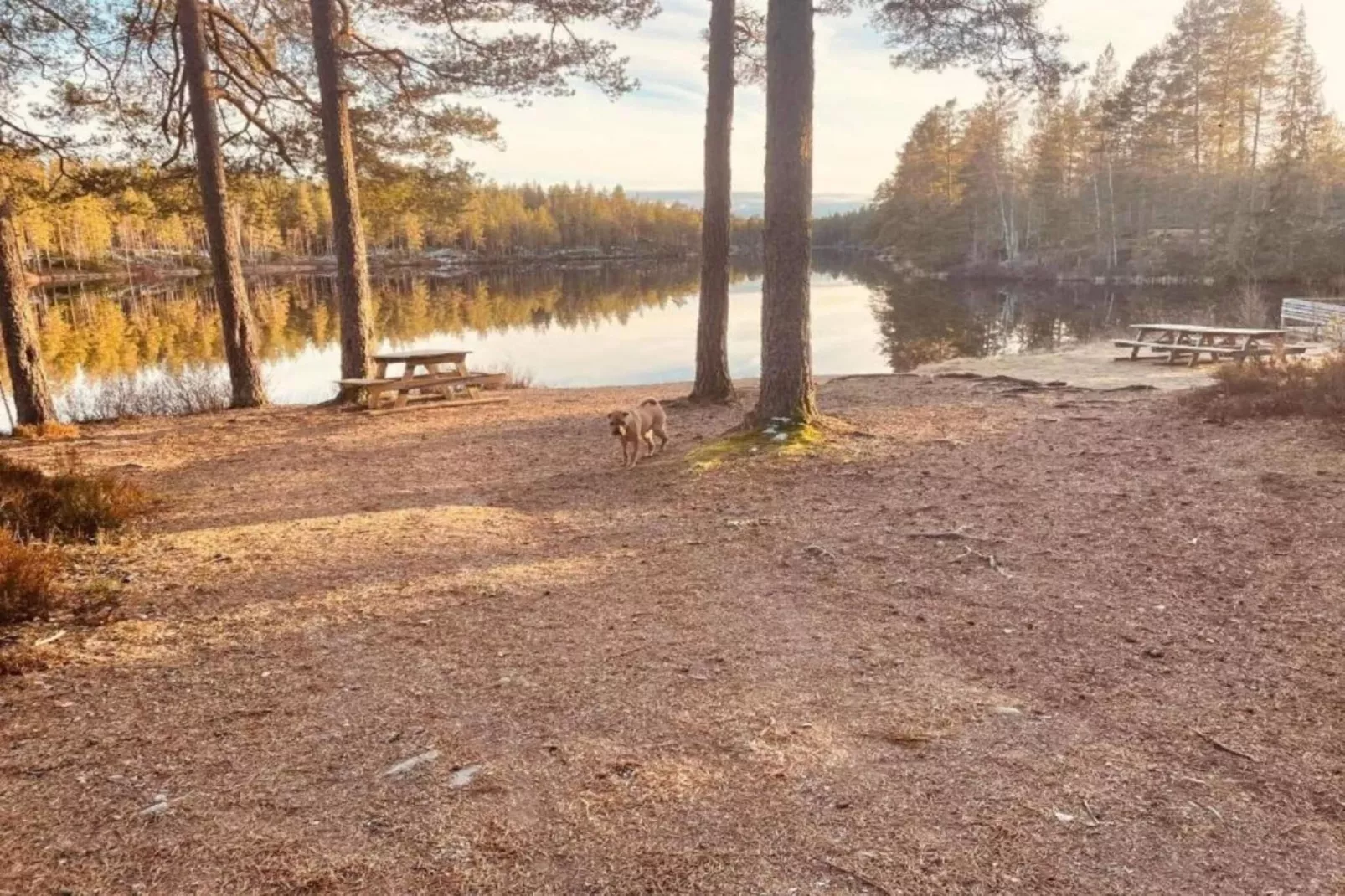 Maison de vacances pour 6 a Kosta - Extérieur