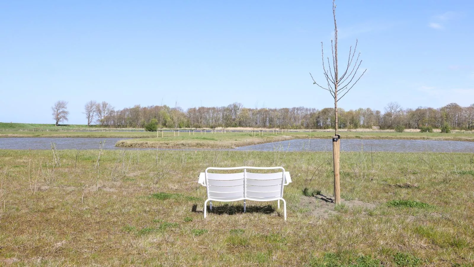 Natuurhuis Oeverzicht - Gardens in summer
