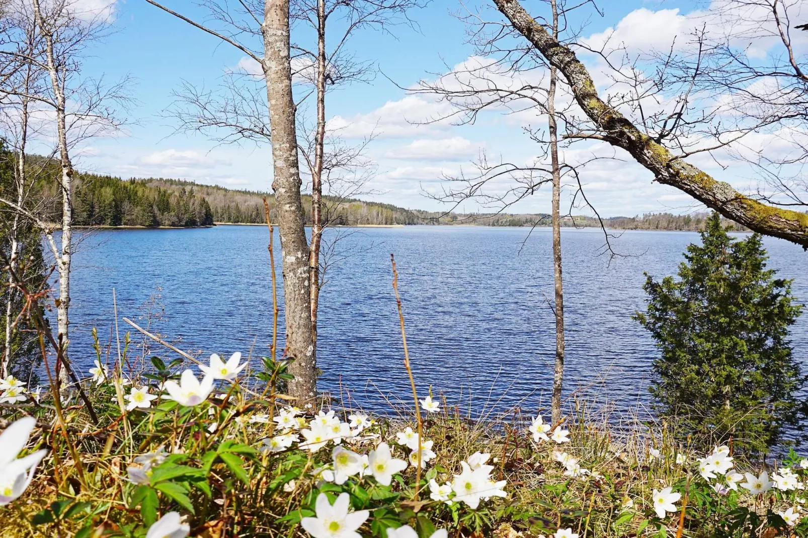 6 person holiday home in STRÖMSTAD - Untagged