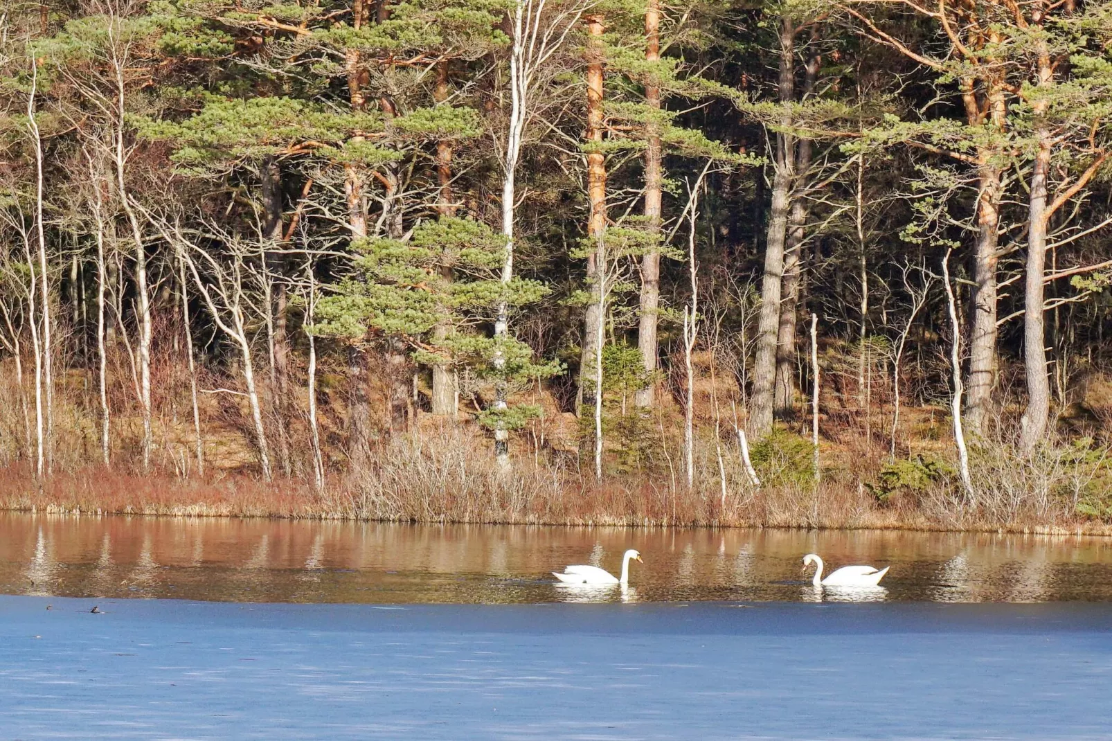 6 person holiday home in STRÖMSTAD - Untagged
