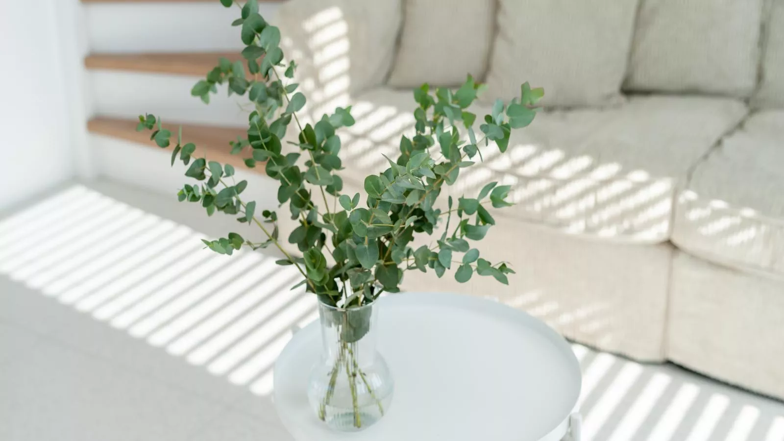 Duin Bos Retreat Oostkapelle - Ambiance