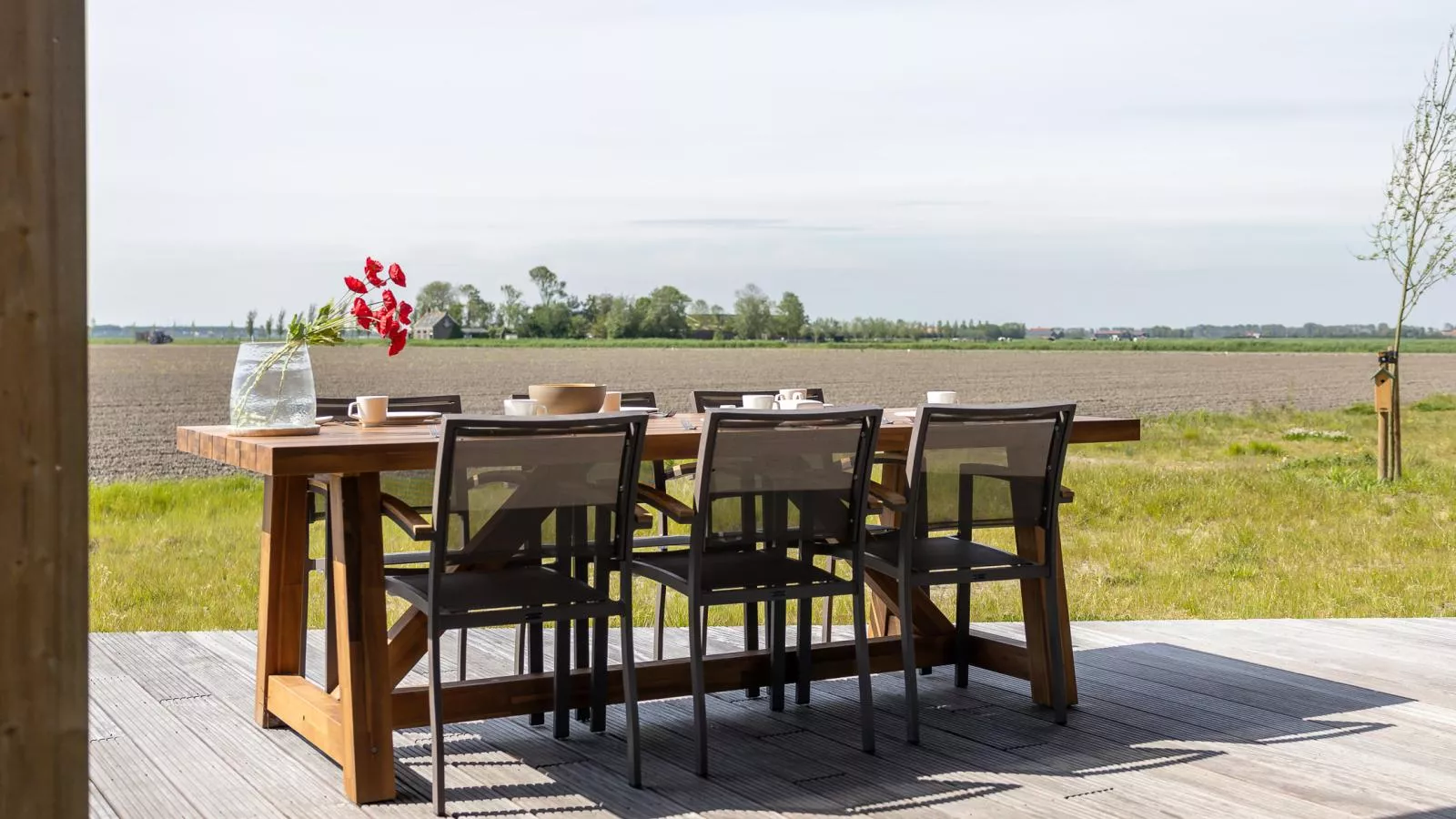 Natuurhuis Rietzoom - View in summer