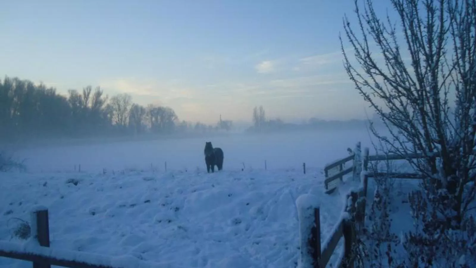 Spijk vakantiehuis - Vue d'hiver