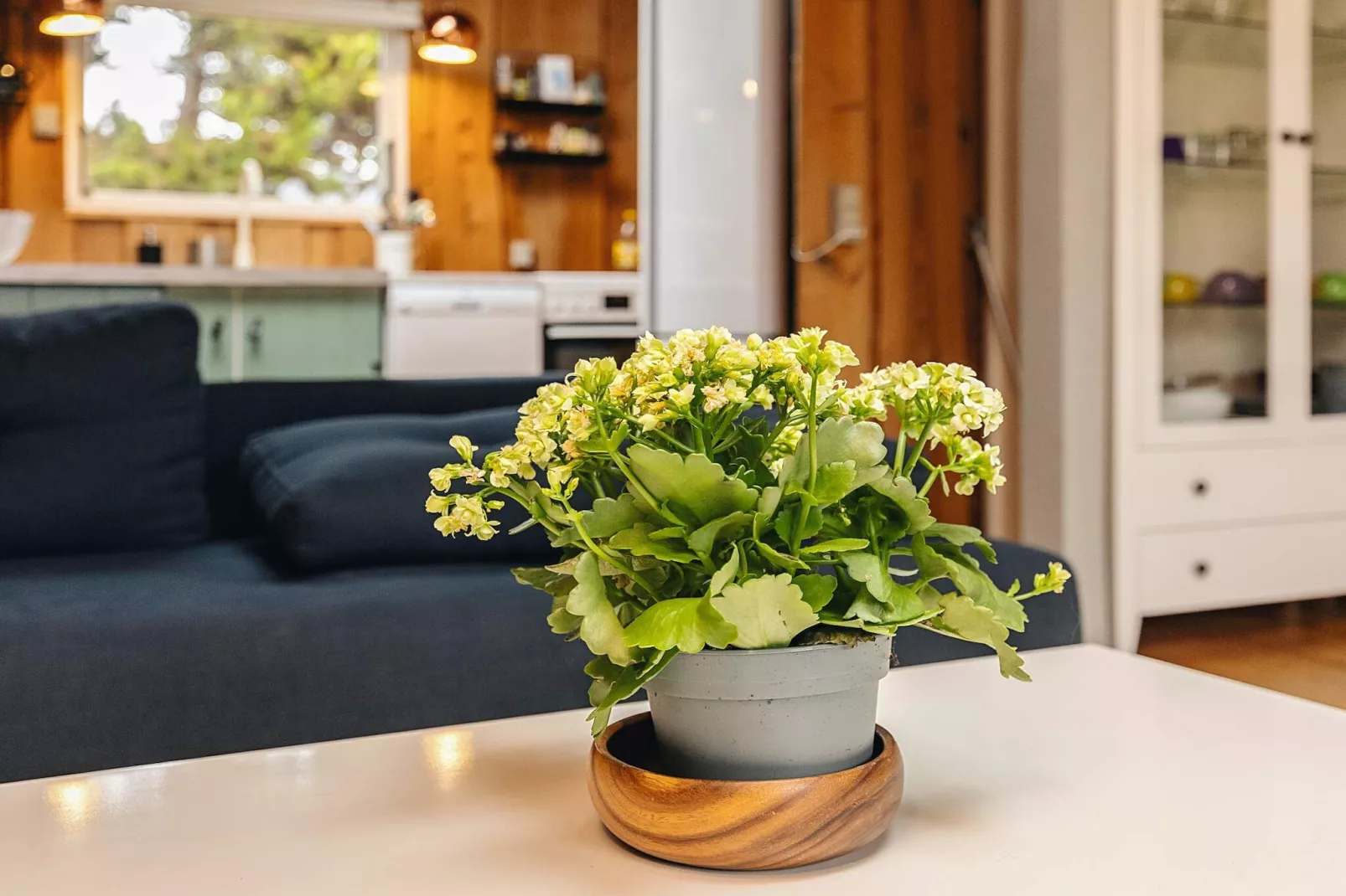 Maison de vacances pour 4 a Væggerløse - Intérieur