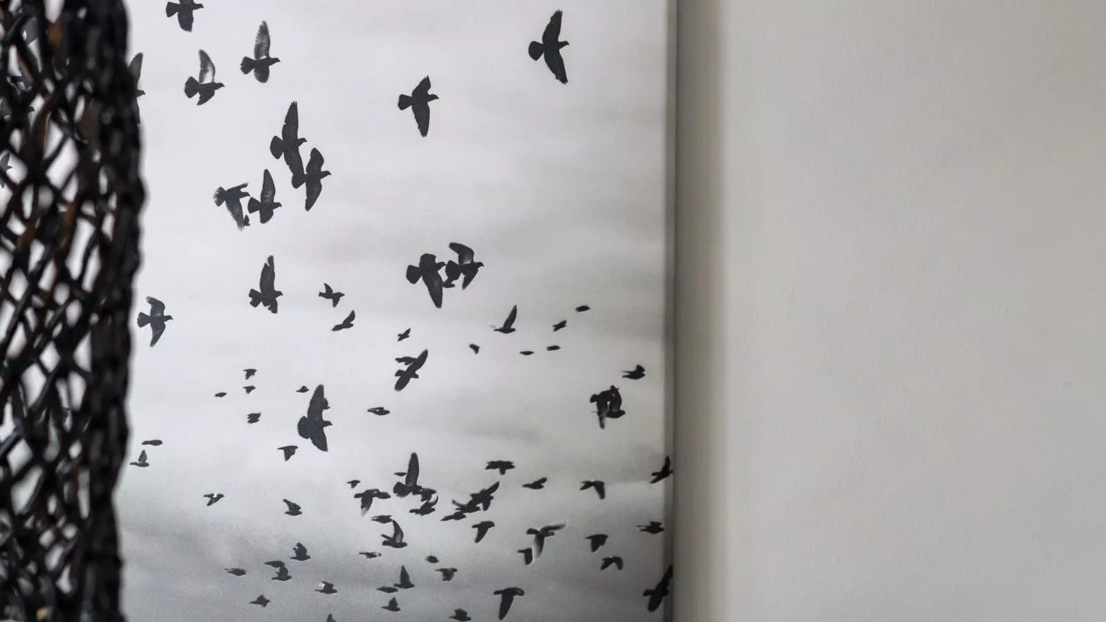 Marina Relax Suite Kortgene - Ambiance