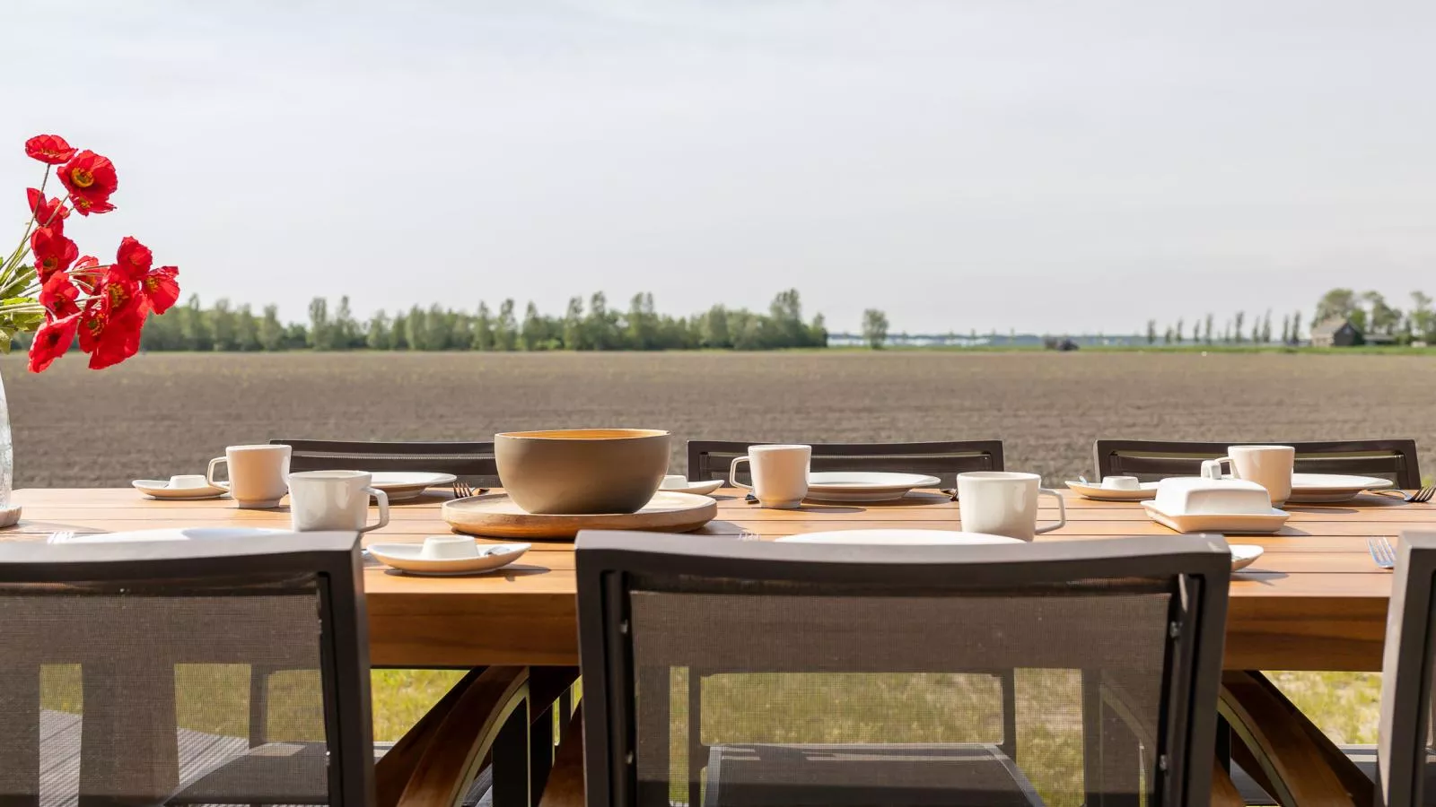 Natuurhuis Rietzoom - View in summer