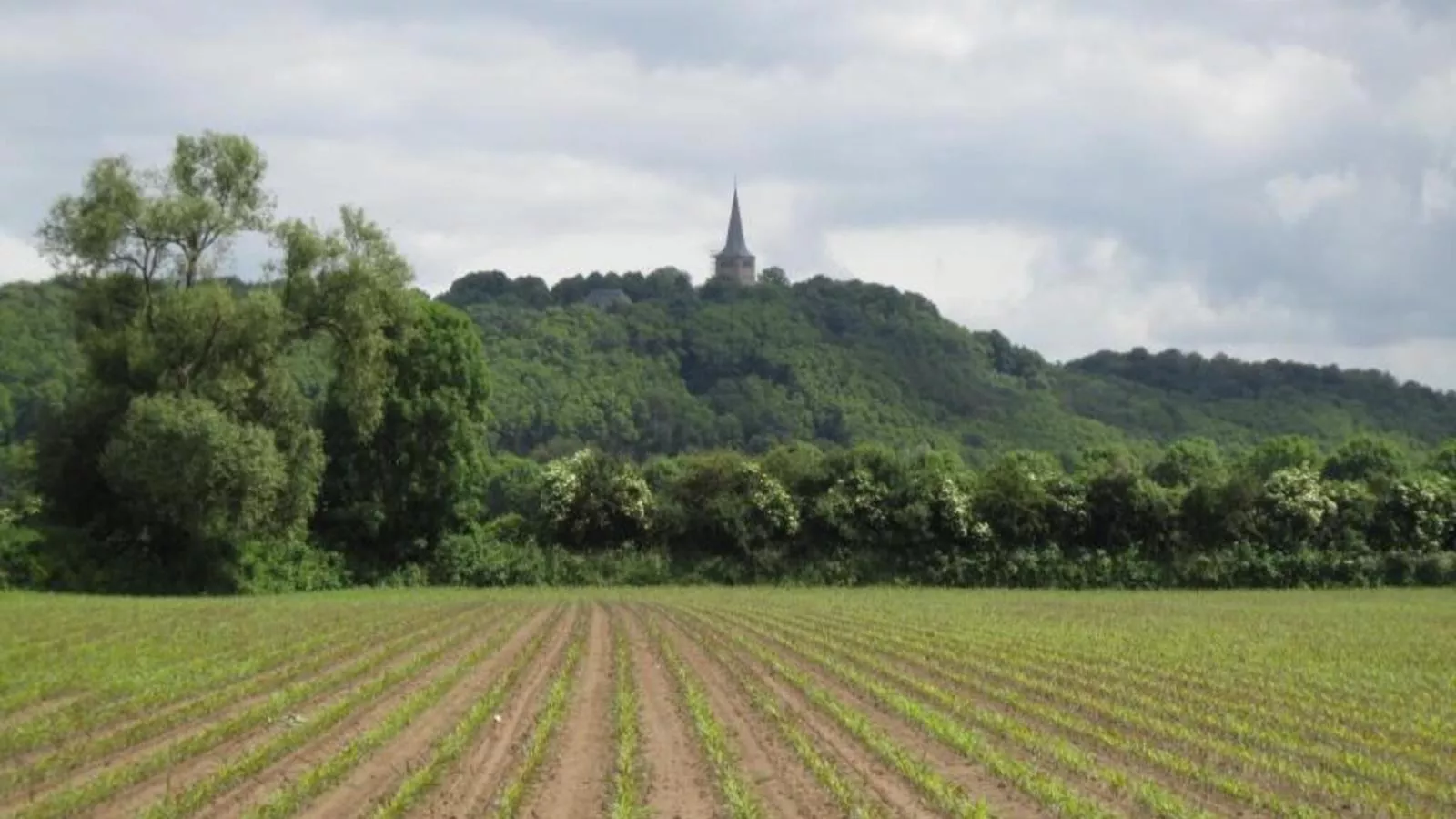 Spijk vakantiehuis - Zones été à 1 km