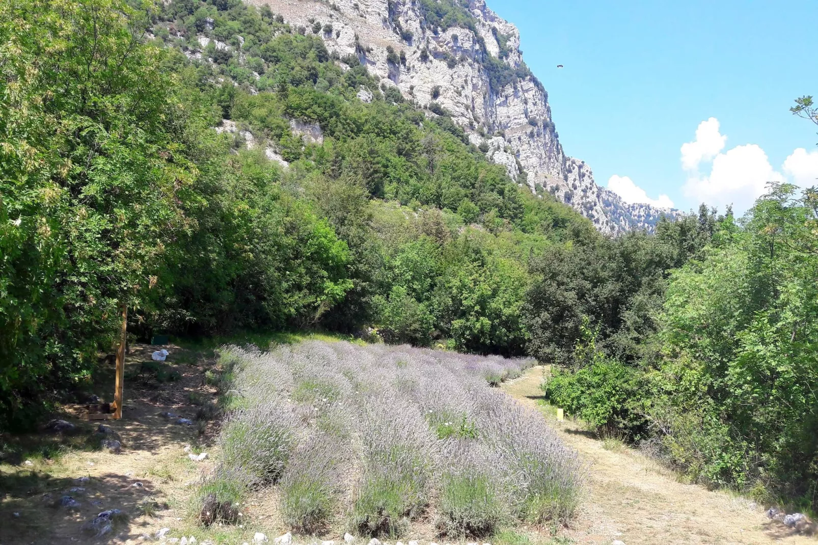 Noelie 1er Etage - Zones été à 5 km