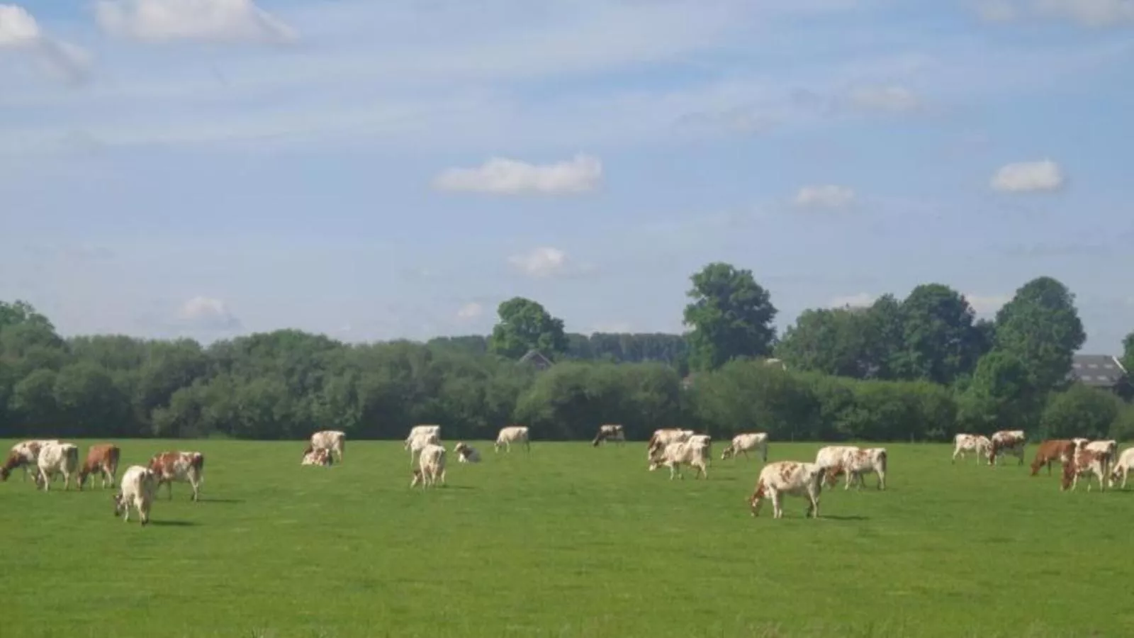 Spijk vakantiehuis - Zones été à 1 km