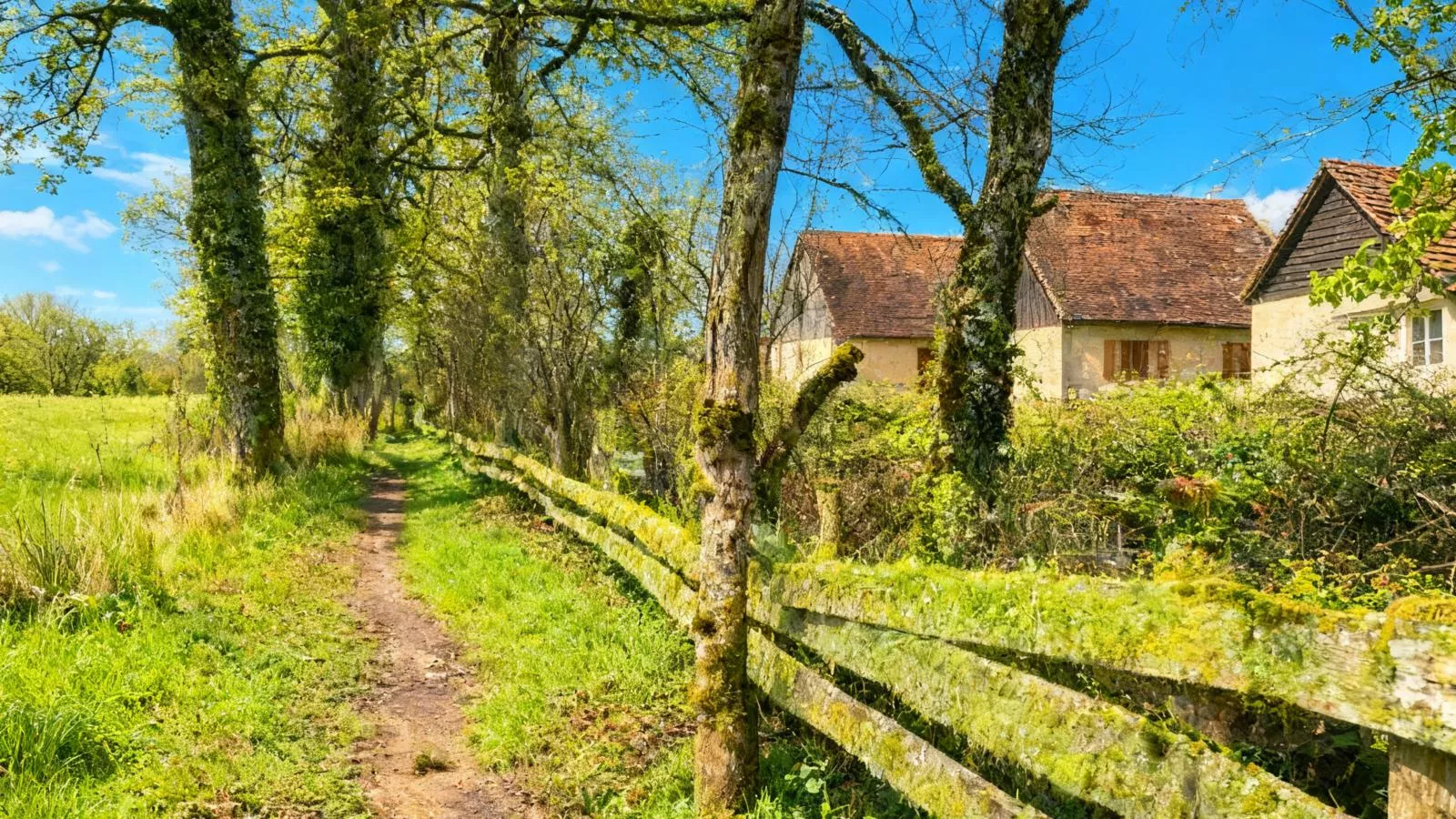 Lac Bleu nr 18 - Vue d'été