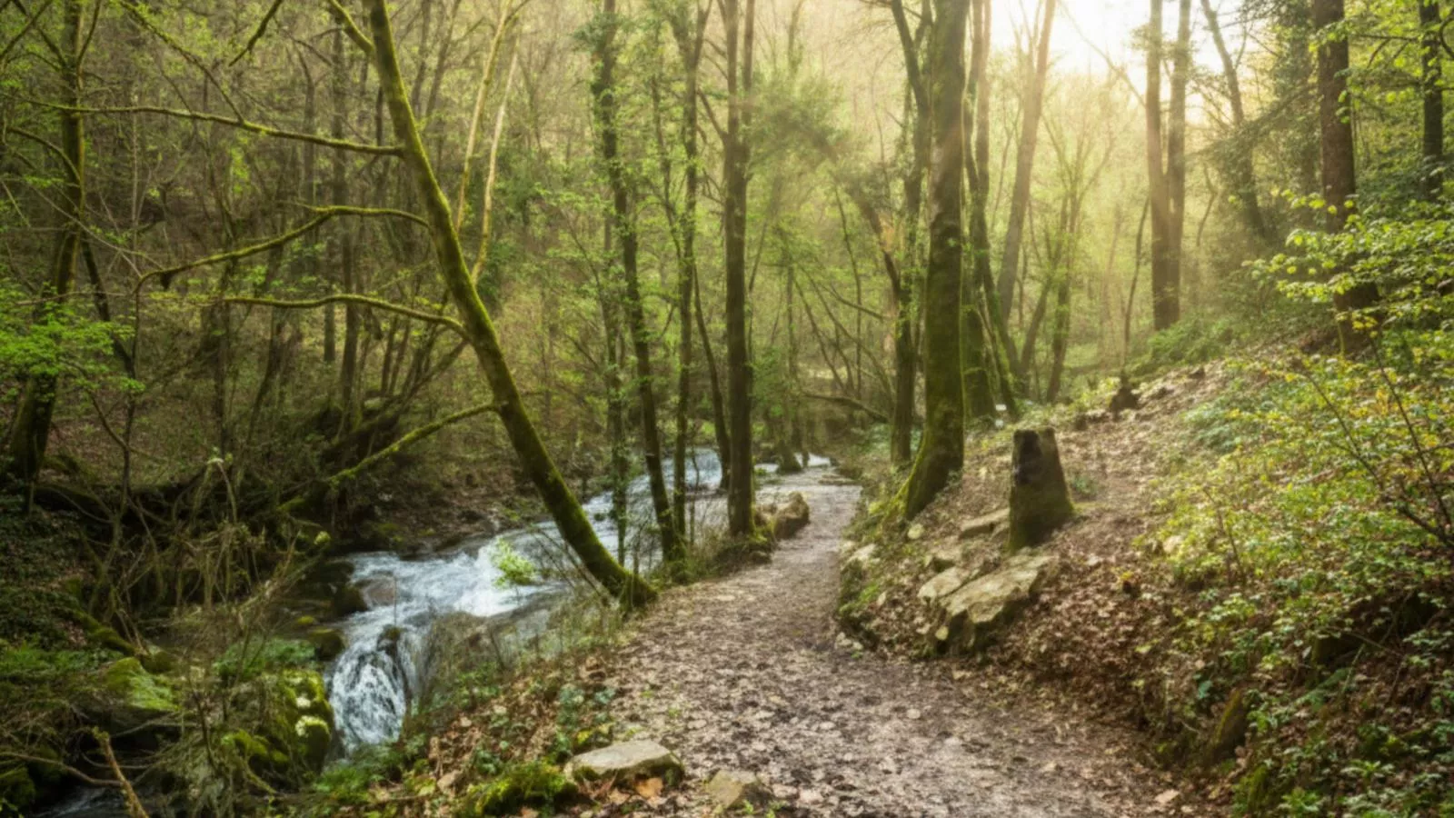 Lac Bleu nr 18 - Zones été à 5 km