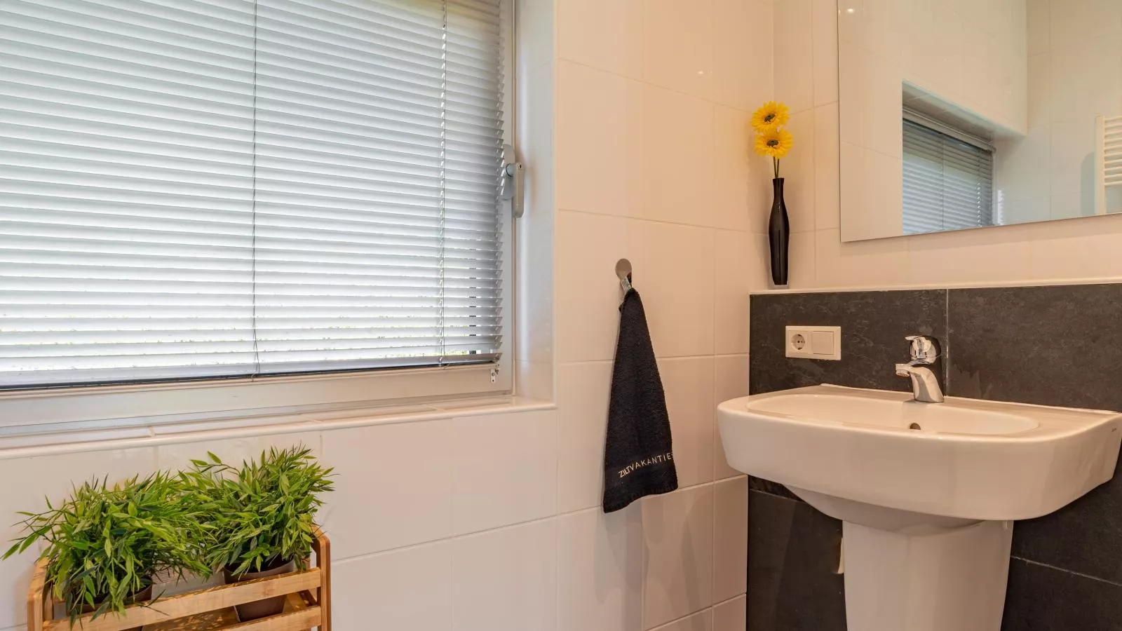 Zwaluw aan Zee - Bathroom